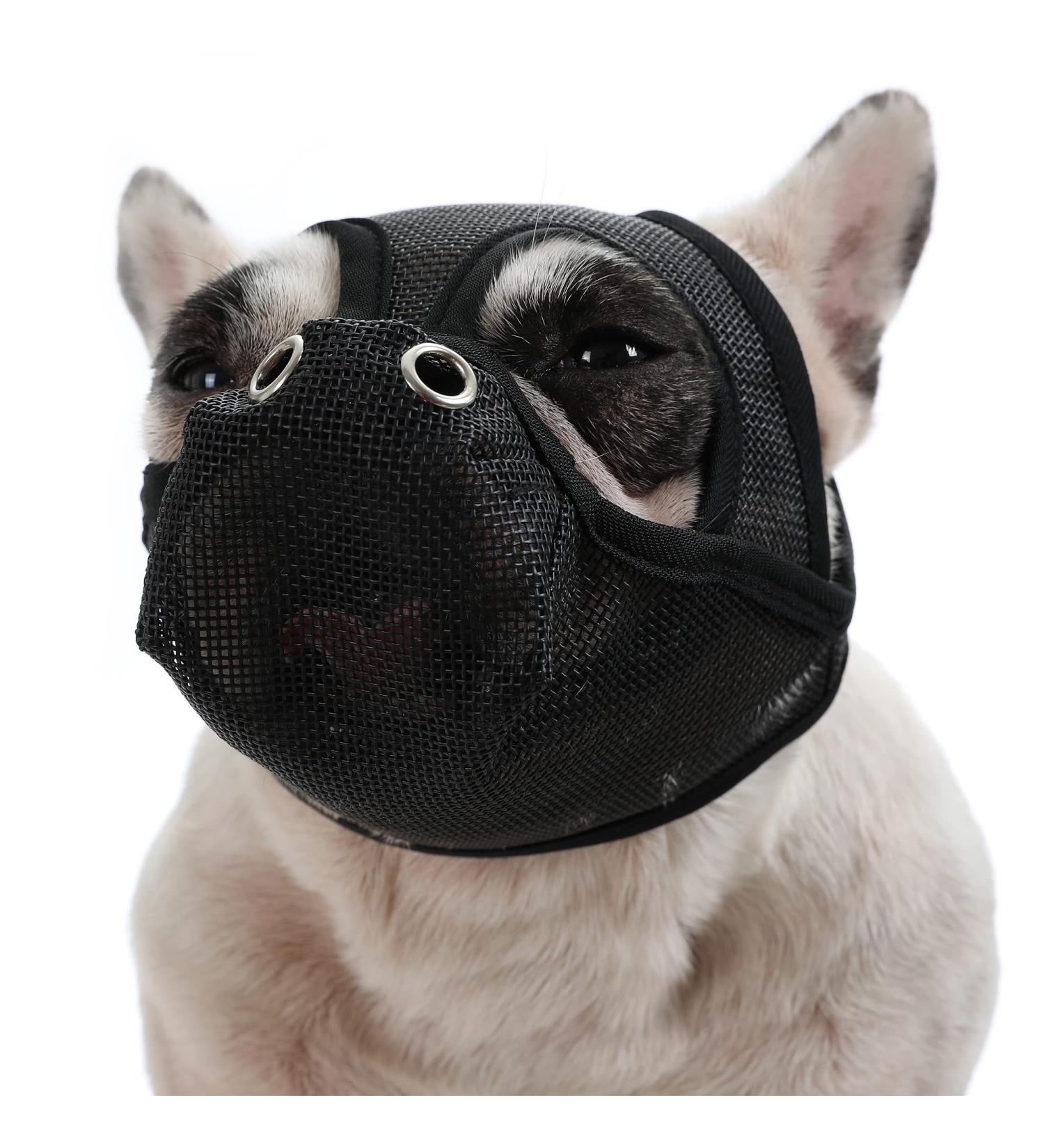 ranzivoo Dog Muzzle Breathable Mesh for Short Snout Dogs Biting Barking Small Black - Buy Online on GoSupps.com