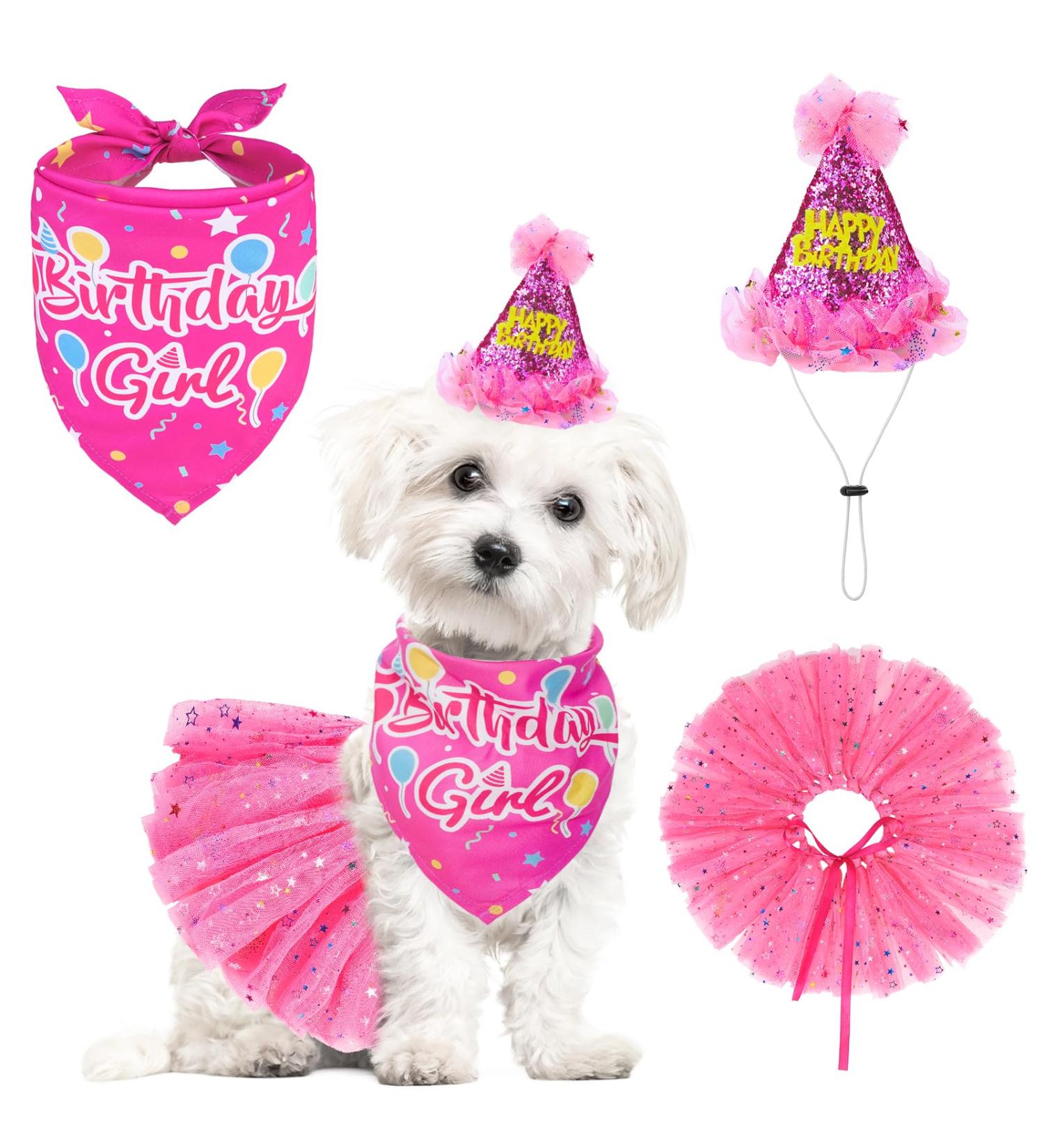 SCENEREAL Dog Birthday Bandana with Hat and Dress Girl Set - Pink Tutu Skirt Outfit for Dogs - Buy Online on GoSupps.com