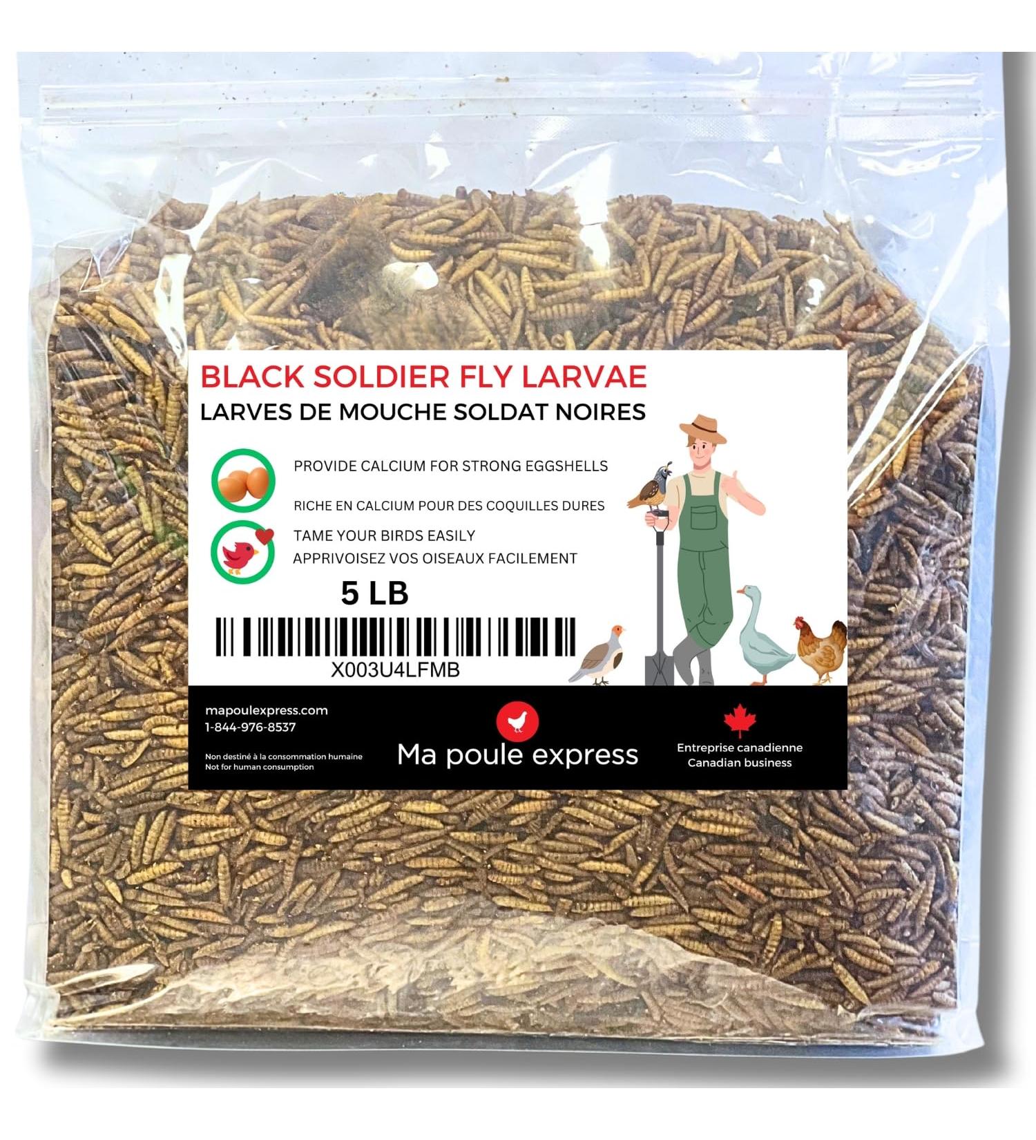 Dried Black Soldier Fly Larvae Chicken Treats for Chicken Hens Duck Bird Lizard Tortoise - High Protein - 5 Pounds - Buy Online on GoSupps.com