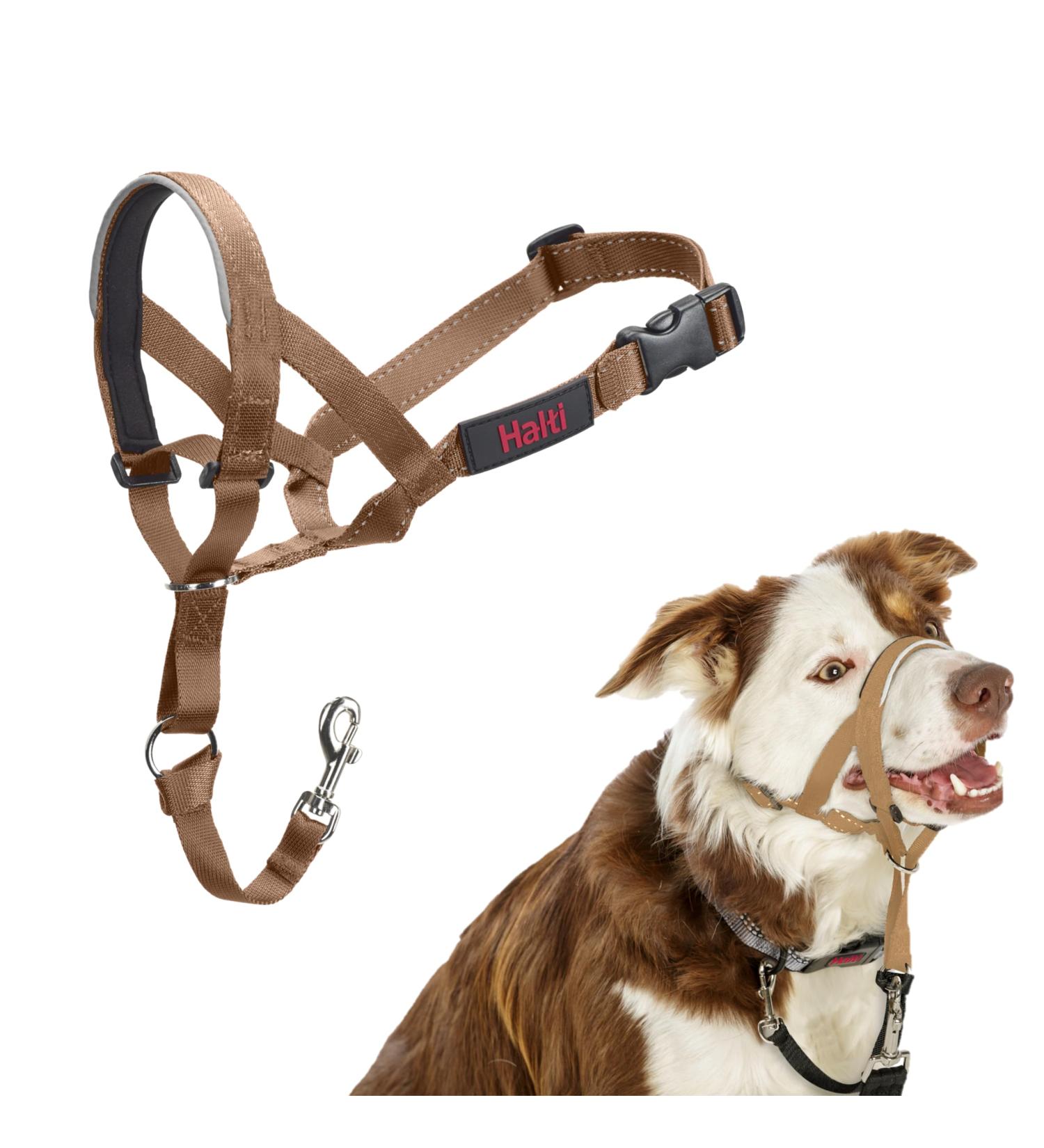 Halti Head Harness for Medium Dogs - No Pull Leash Training | Adjustable Lightweight Padded Nose Strap - Desert Sand (Size 2) - Buy Online on GoSupps.com