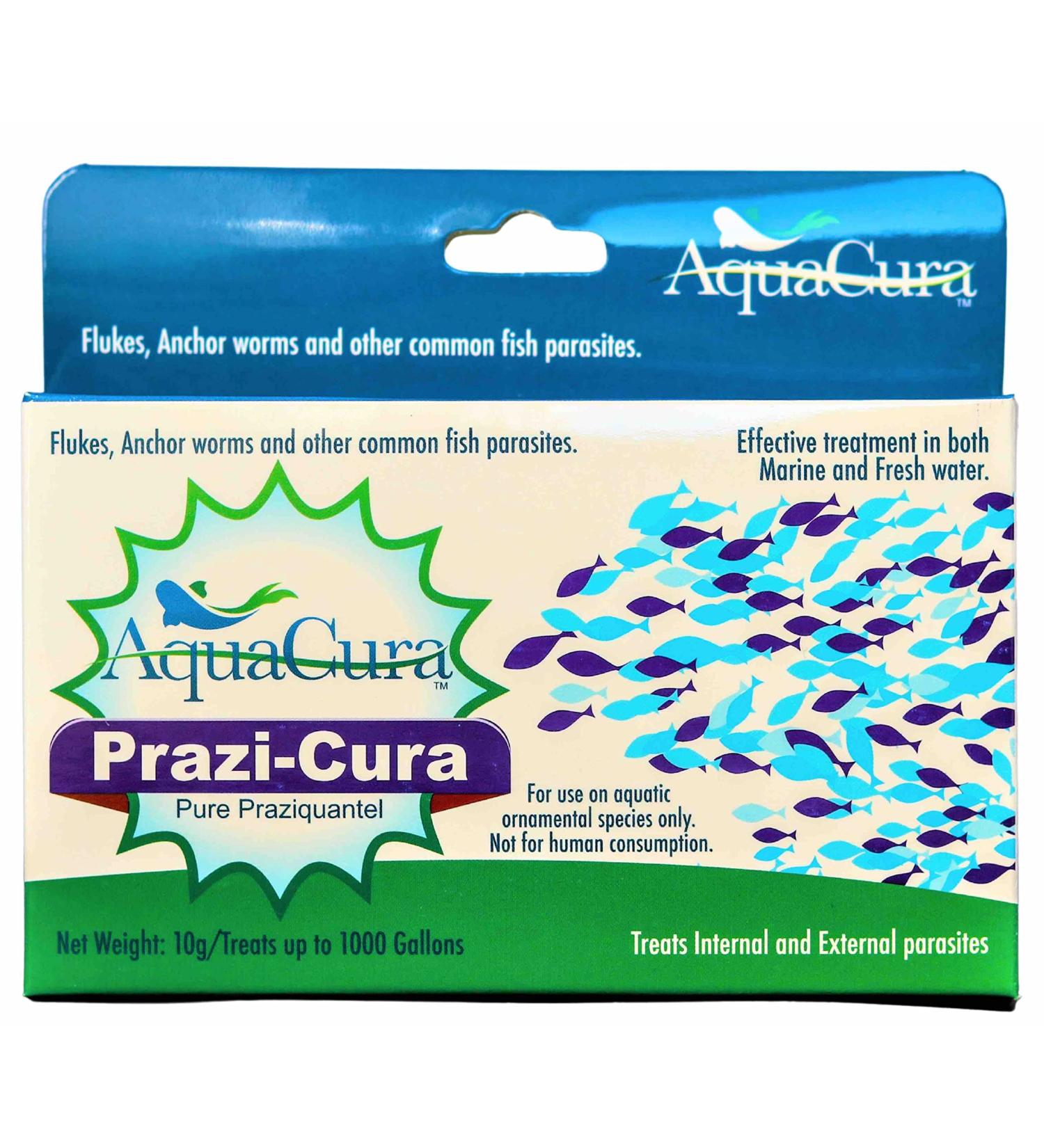 PraziCura 10g - Prazicura is Pure praziquantel. .