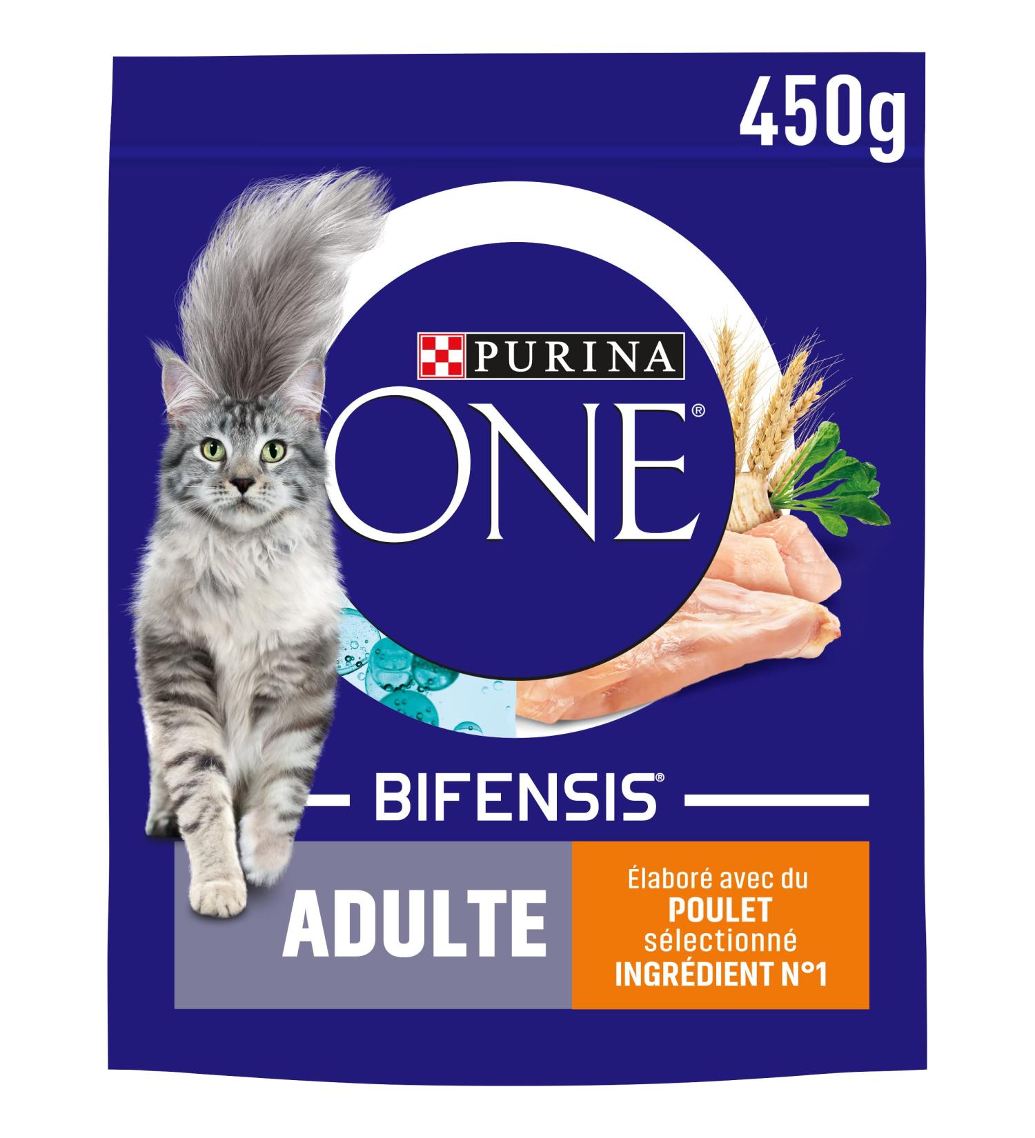 PURINA ONE Bifensis | Chicken Dry Food for Adult Cats | 450g Bag | Pack of 10 - Buy Online on GoSupps.com