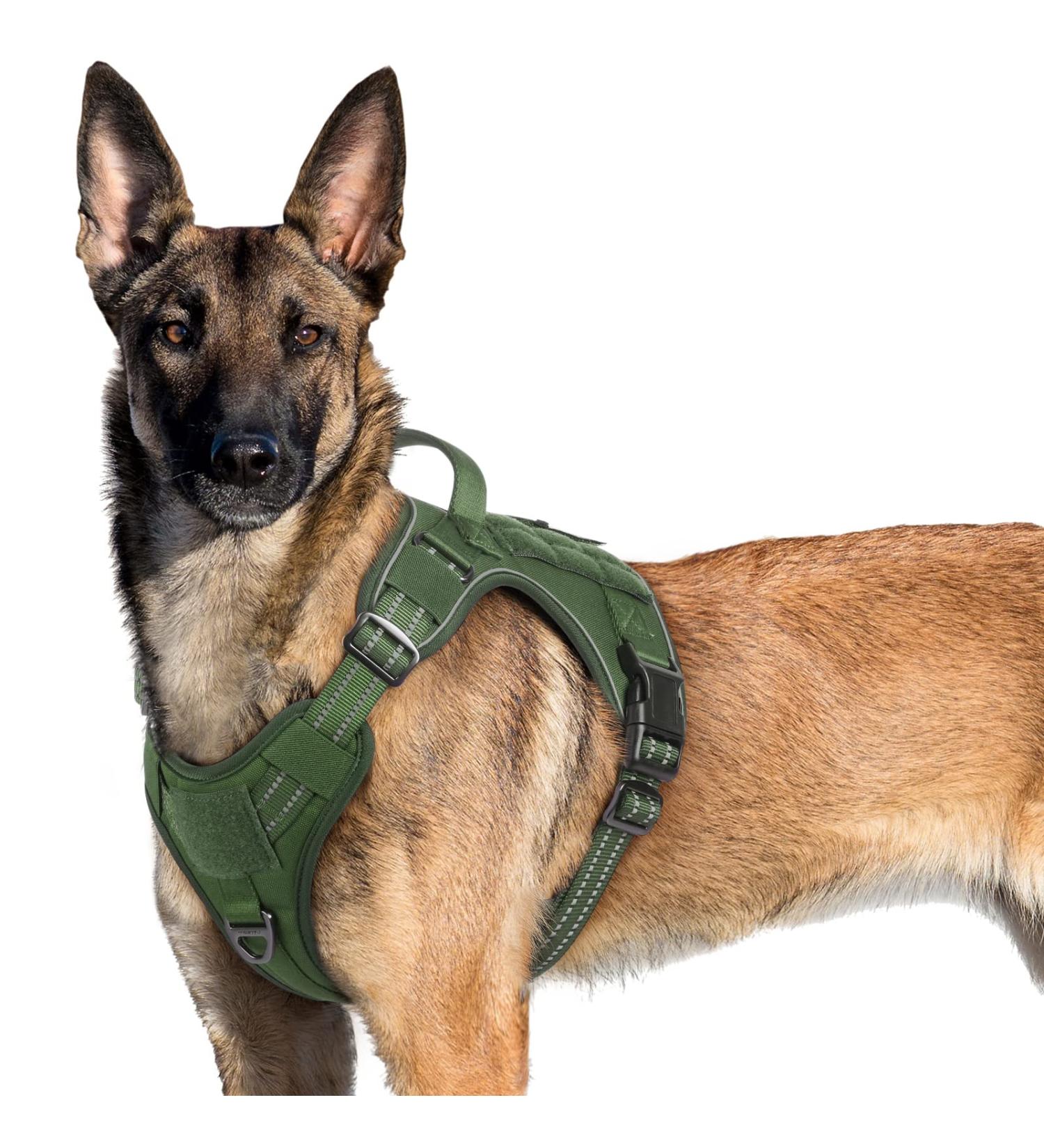 Rabbitgoo XL Dog Harness for Large Dogs - Adjustable Durable & Tactical with Handles - Perfect for Hiking - Wear-Resistant Metal Buckles (Green) - Buy Online on GoSupps.com