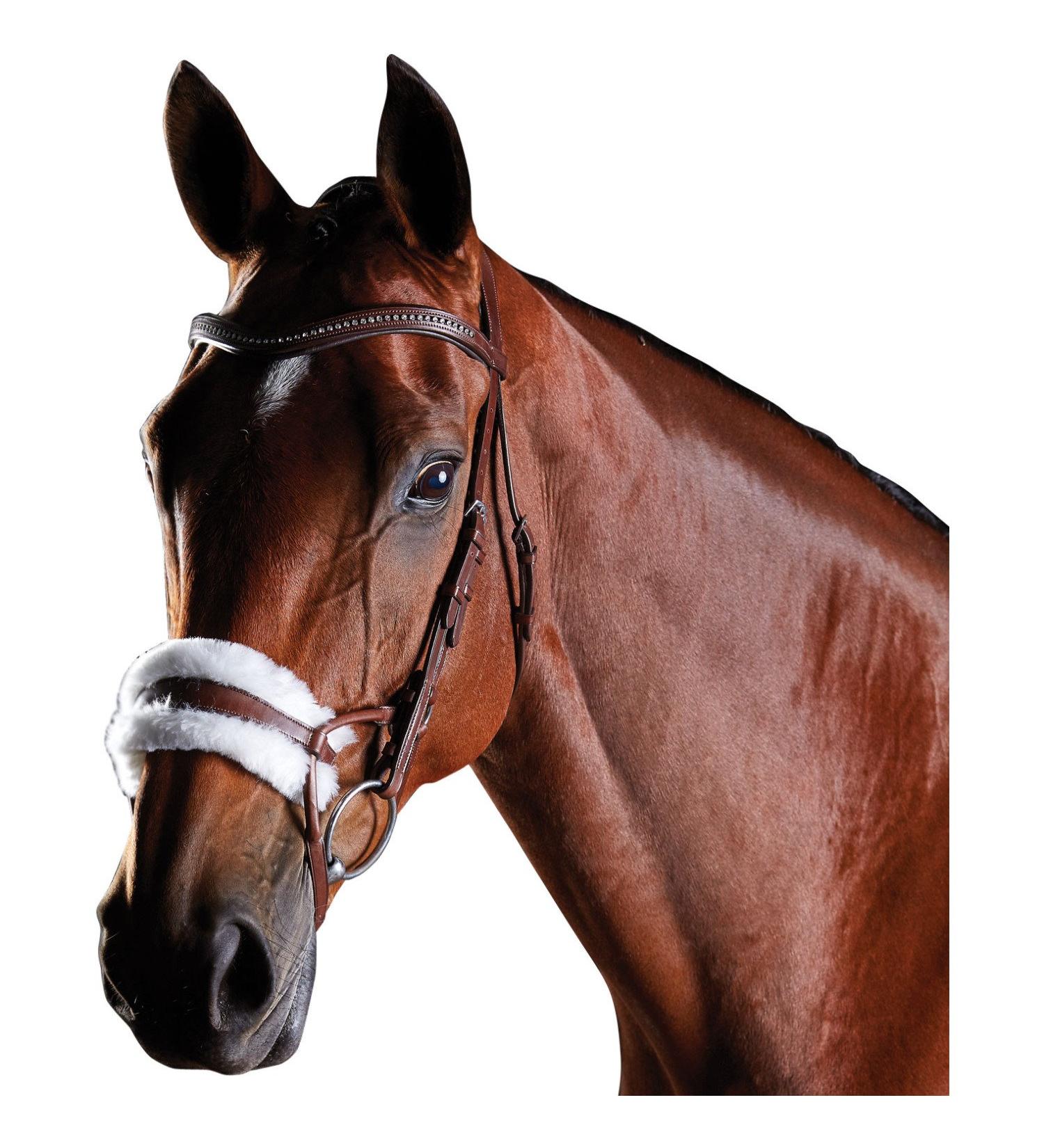 Buy Collegiate ComFiTec Sheepskin Bridle - Brown Full Size | International Shipping Available - Buy Online on GoSupps.com