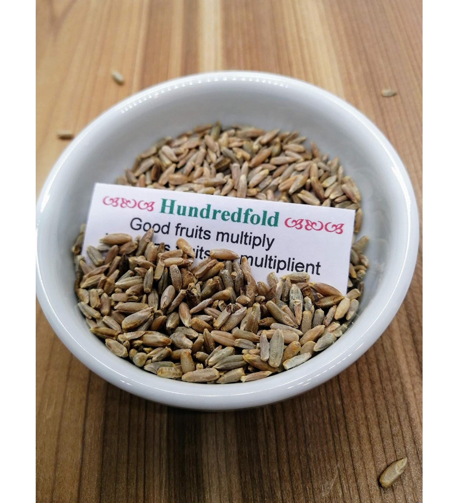 Hundredfold Multi-Grain 3 Ounces Fresh Grain Seeds - Non-GMO Whole-Grain Oat Rye and Barley for Catgrass Cat Grass and Pet Grass Suitable for Cats Dogs Kittens Rabbits and Guinea Pigs - Buy Online on GoSupps.com