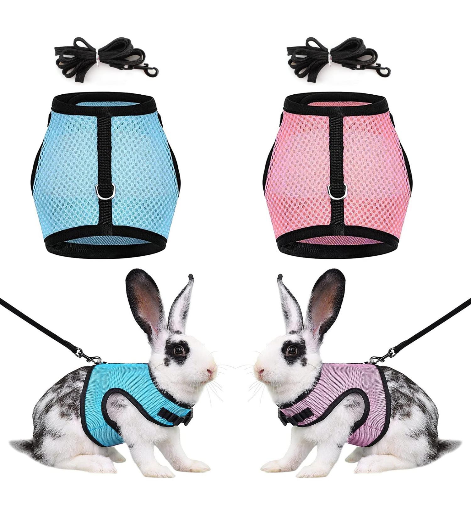 Adjustable Rabbit Dishes & Leash Set for Small Animals 2 Pieces in Blue & Pink | Perfect for Rabbits Hares Hamsters & Cats | Outdoor Use - Buy Online on GoSupps.com