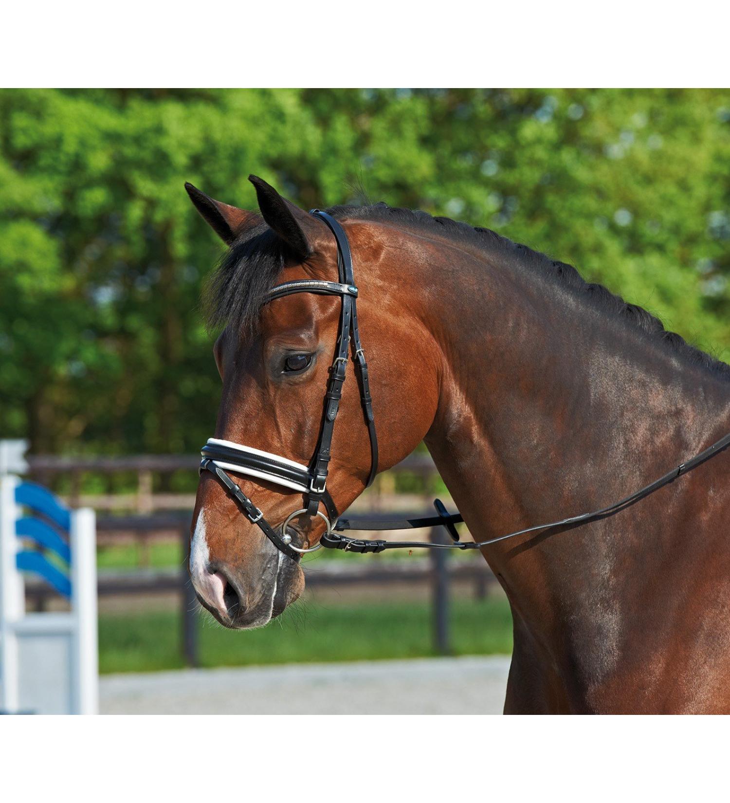 BUSSE COMFORT Black/Rhinestone-Multi Bridle for Thoroughbreds - Premium International Shipping - Buy Online on GoSupps.com