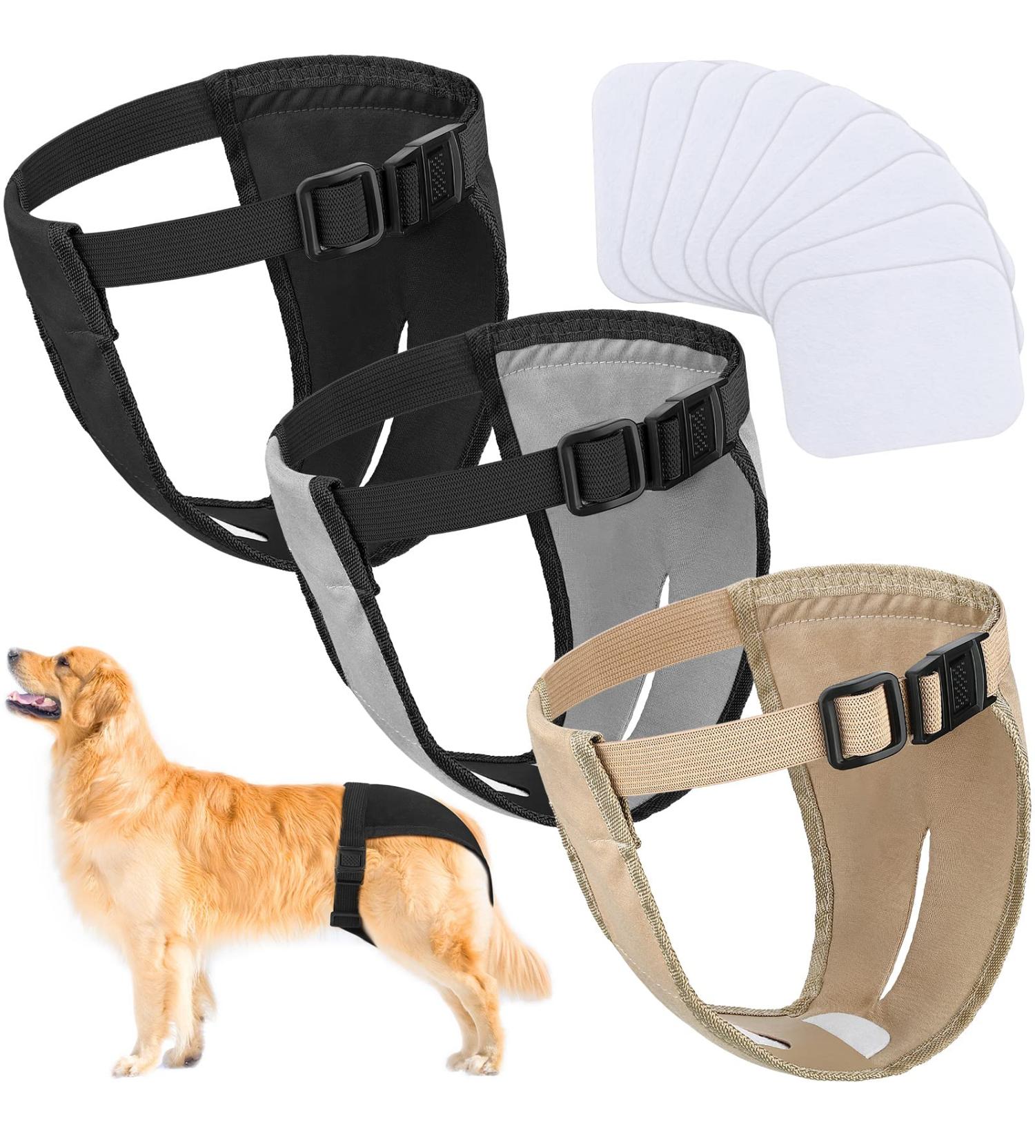 3 Pack Dog Trousers & Diapers for Bitches - Adjustable Washable Protective During Heat & Bleeding - Buy Online on GoSupps.com