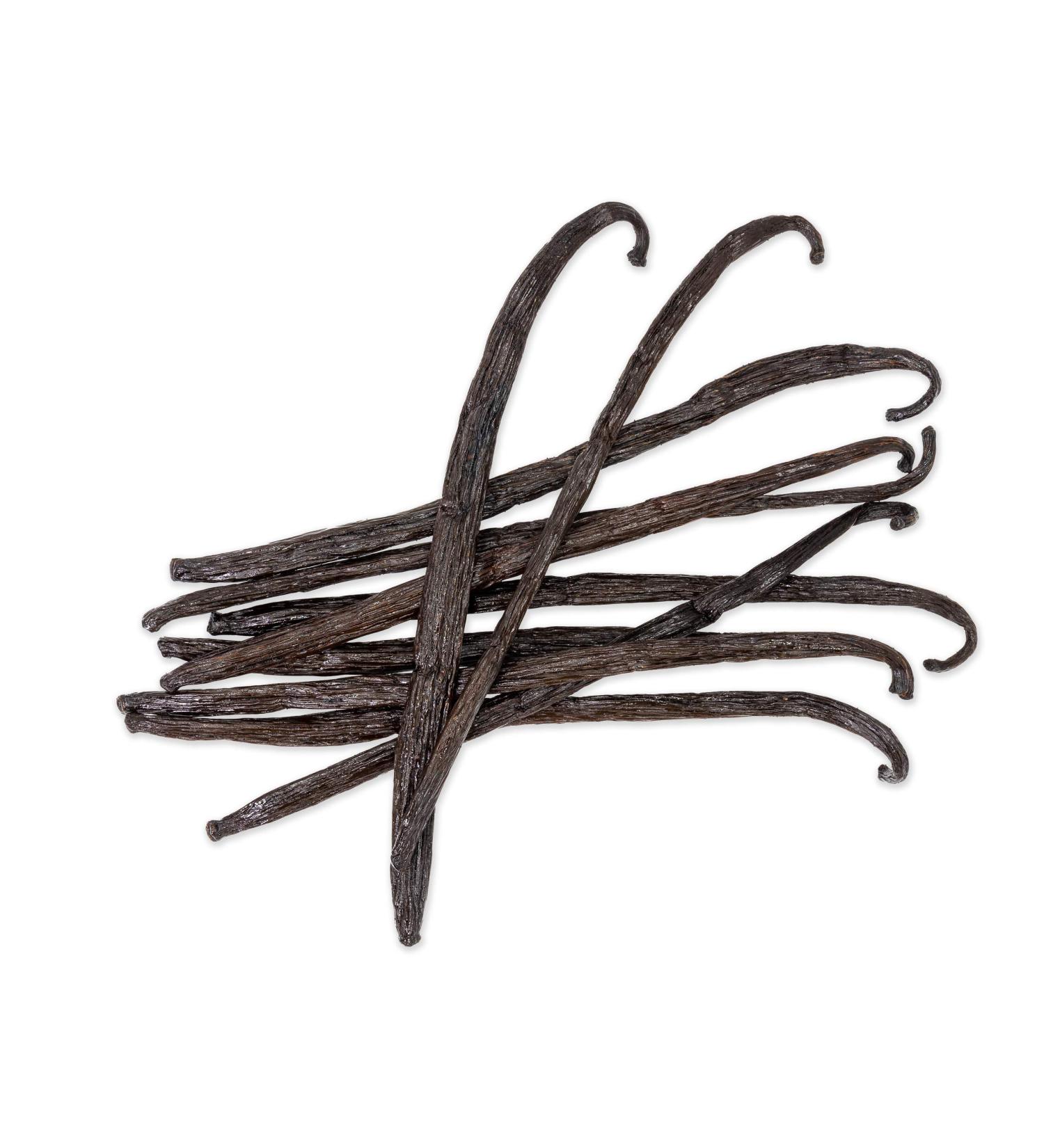 Slofoodgroup Premium Grade A Gourmet Madagascar Bourbon Vanilla Beans - 10 Count - Ideal for Cooking, Baking, and Vanilla Extract - Pack of 1 - Buy Online on GoSupps.com