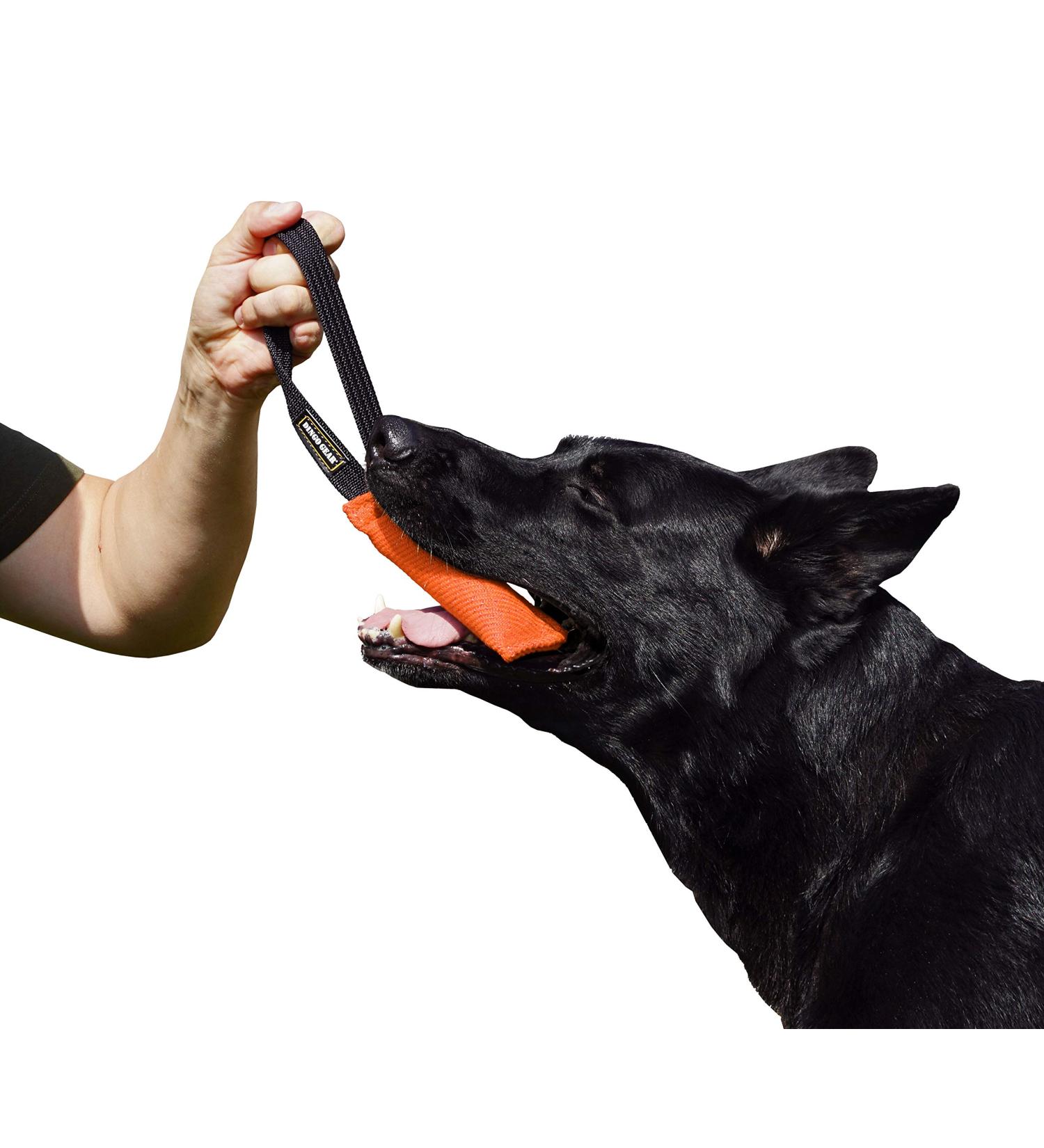 Dingo Gear Cotton Nylon Bite Sausage for Dog Training | IGP IPO Obedience & Protection | 15x5 cm - Orange - Buy Online on GoSupps.com