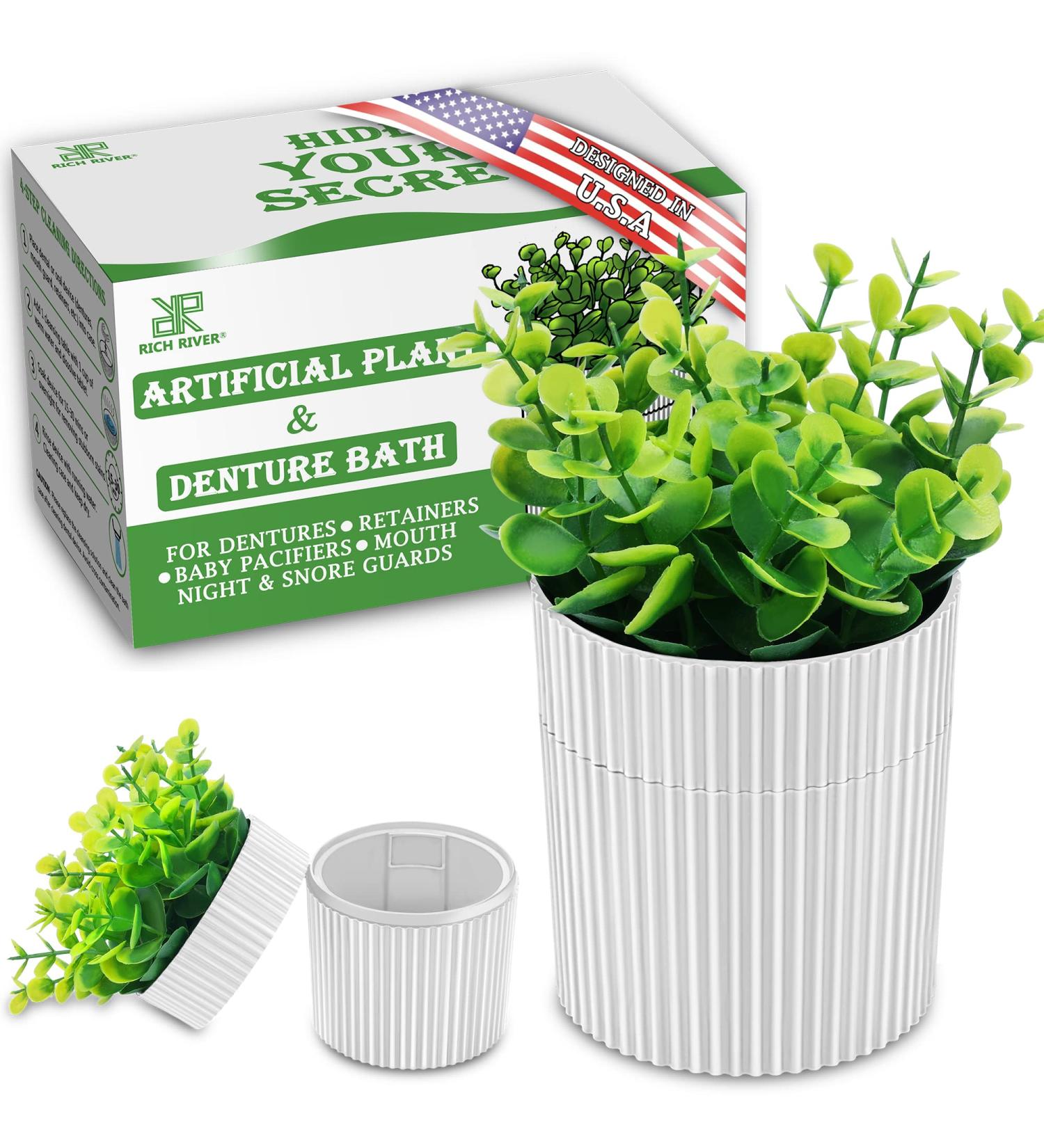 Invisible Denture Case - Eucalyptus Potted Plant Design | Denture Cup for Retainers, Mouth Guards & Dentures - White - Buy Online on GoSupps.com