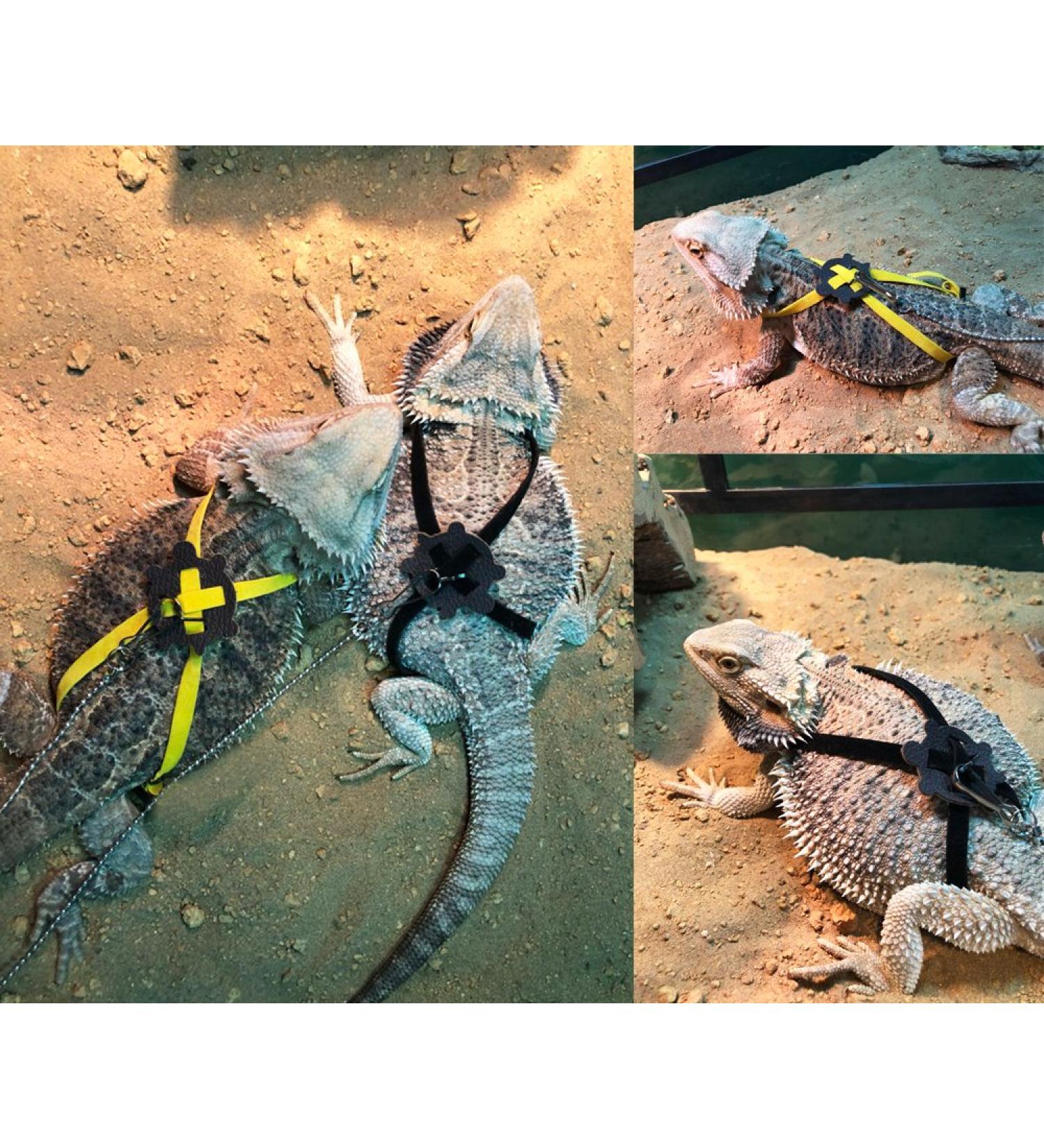 Soft Suede Adjustable Reptile Lizard Harness Leash Adjustable Light Soft Fashion (Yellow) - Buy Online on GoSupps.com