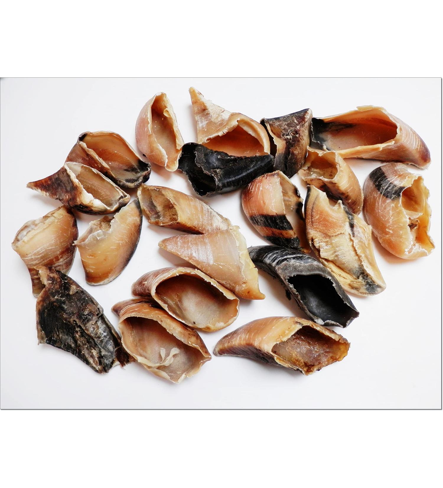 DriedDogTreats 10x Dried Cow Calves HOOVES Grade A - Empty Unfilled Hoof Pet Treat Chew Medium/Large Dogs 100% Natural Long Lasting Treats Snacks Chews - Buy Online on GoSupps.com