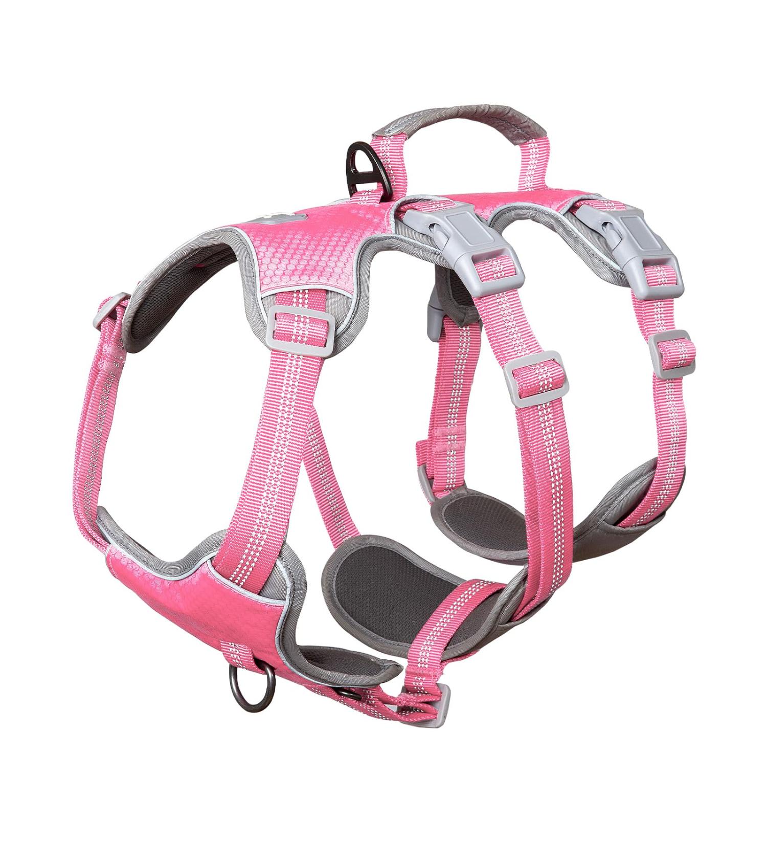Huntboo Dog Safety Dishes & Reflective Harness for Small Dogs - Adjustable Waterproof Vest in Pink (Small Pack of 1) - Perfect for Walks & Training - Buy Online on GoSupps.com