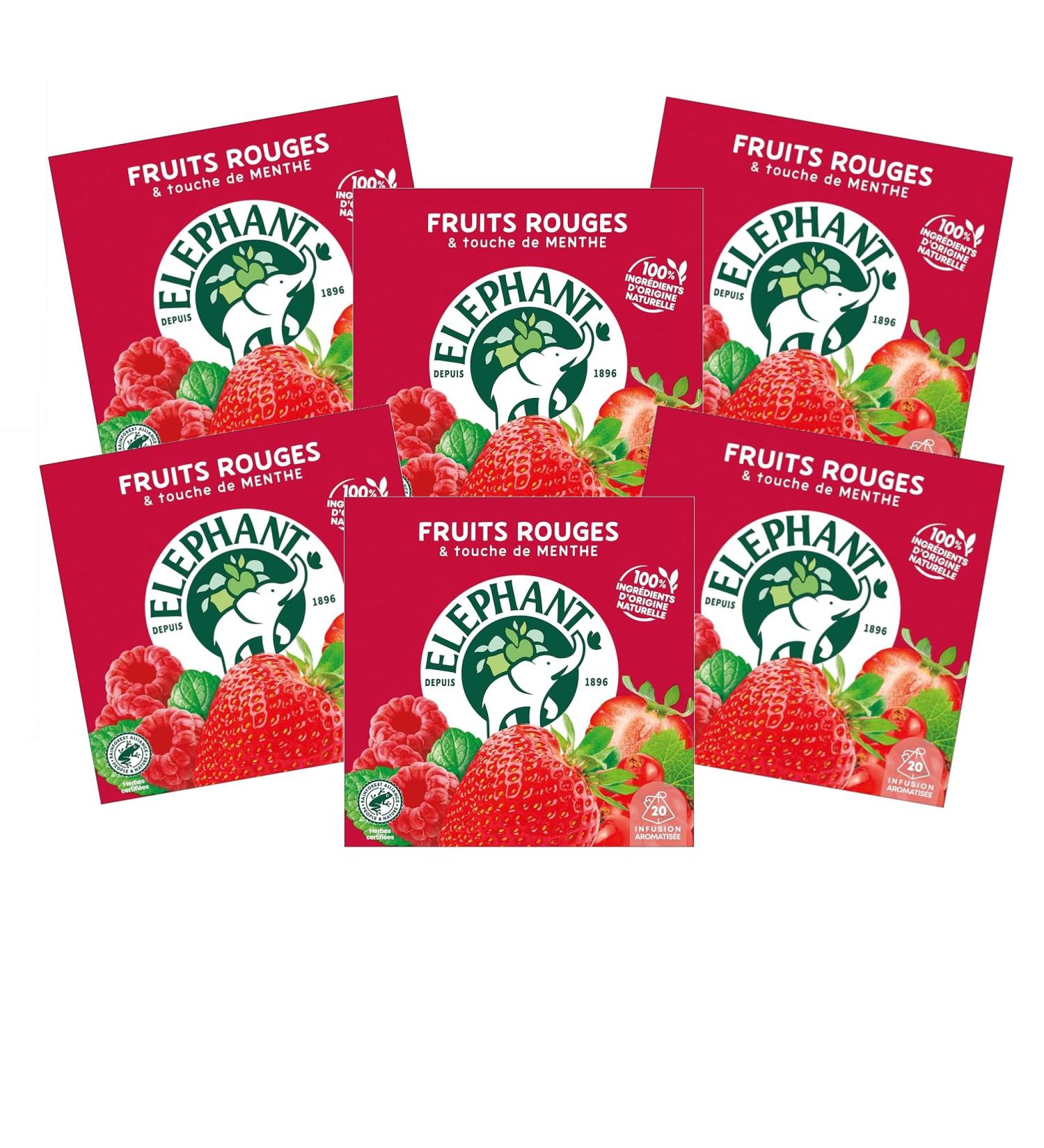 Elephant Infusion Aromatis e Go t Fruits Rouges & Touche de Menthe Certifi Rainforest Alliance Ingr dients d'Origine 100% Naturelle 120 Sachets Pyramid - Buy Online on GoSupps.com