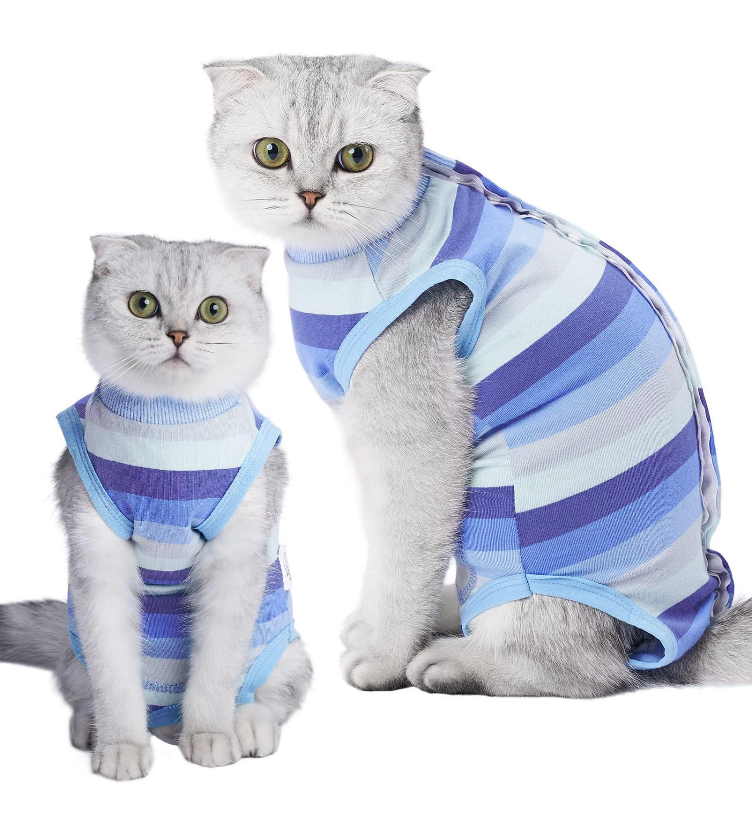 Recovery Suit for Cats and Dogs | Abdominal Wound Protection | Post-Surgery Bodysuit | Anti-Licking Cone Alternative | Large Blue Stripe - Buy Online on GoSupps.com