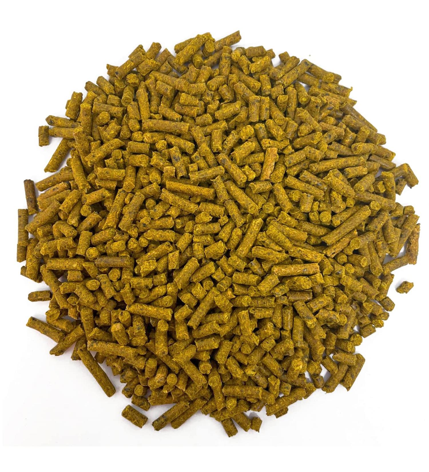 Horse Herbs TURbo Boost - Equine Turmeric Pellet (3kg Refill) 3 kg (Pack of 1)