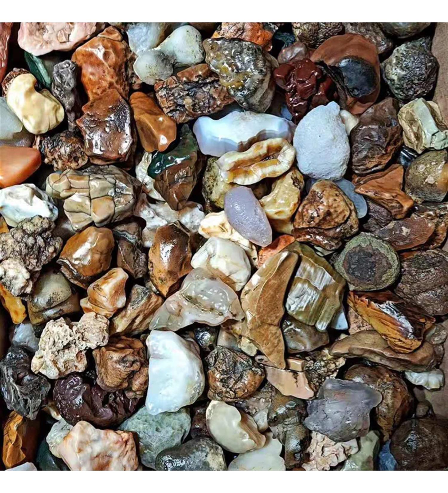 Natural Crystal Rough 100g Alxa Gobi Natural Agate Gobi Stone Fish Tank Stone Strange Stone Collection Stone Family Fish Tank Decoration Stone Random size 100g - Buy Online on GoSupps.com