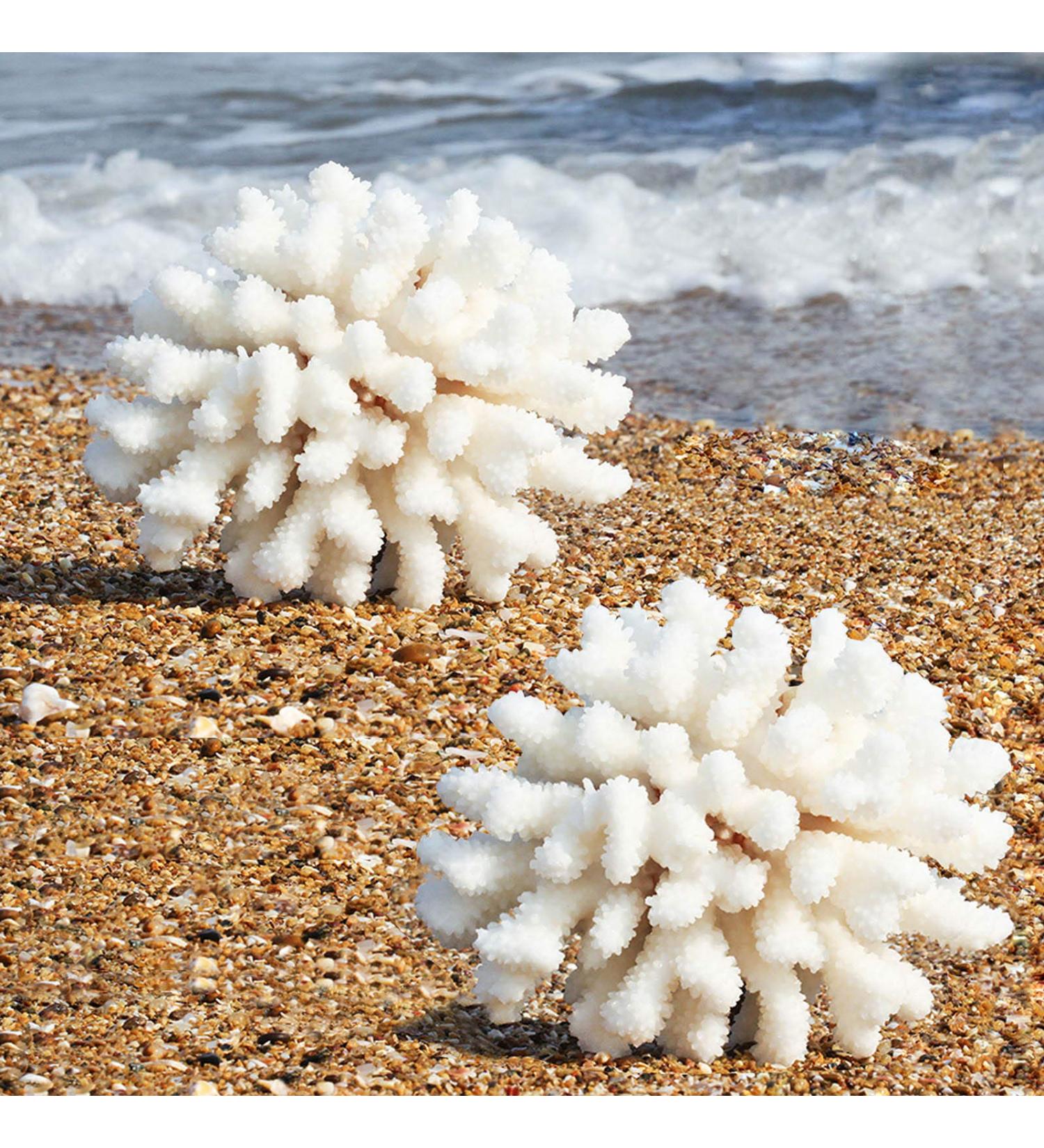 Buy Besimplle 2-Piece Artificial Coral Ornaments - Aquarium Resin Coral Decor & Underwater Sea Plants for Stunning Decor - Buy Online on GoSupps.com