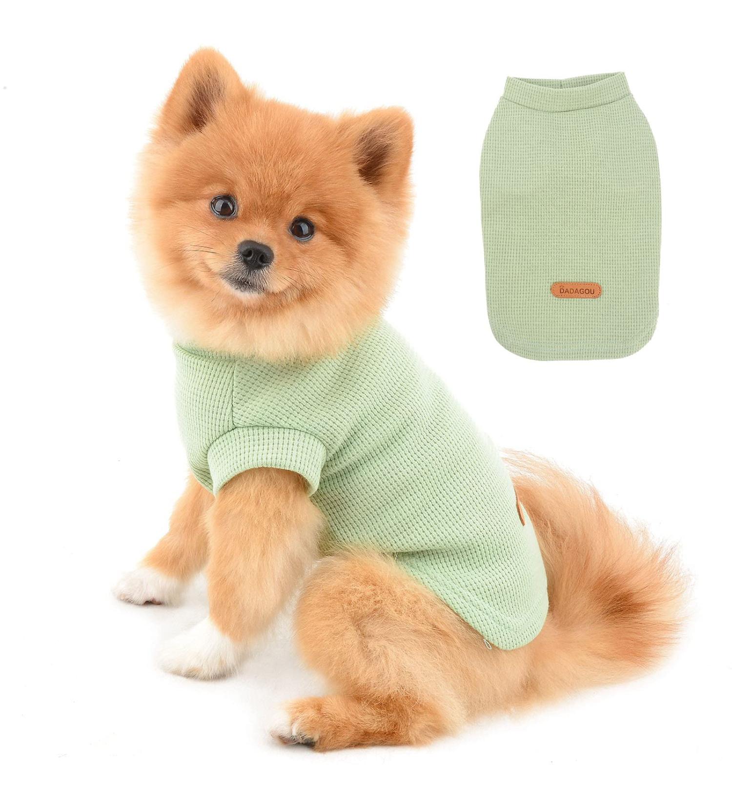 Paidful Soft Cotton Vest T-Shirts for Small to Medium Dogs & Cats - Breathable Summer Clothing for Puppies Chihuahuas and Yorkies - Green XXL - Buy Online on GoSupps.com
