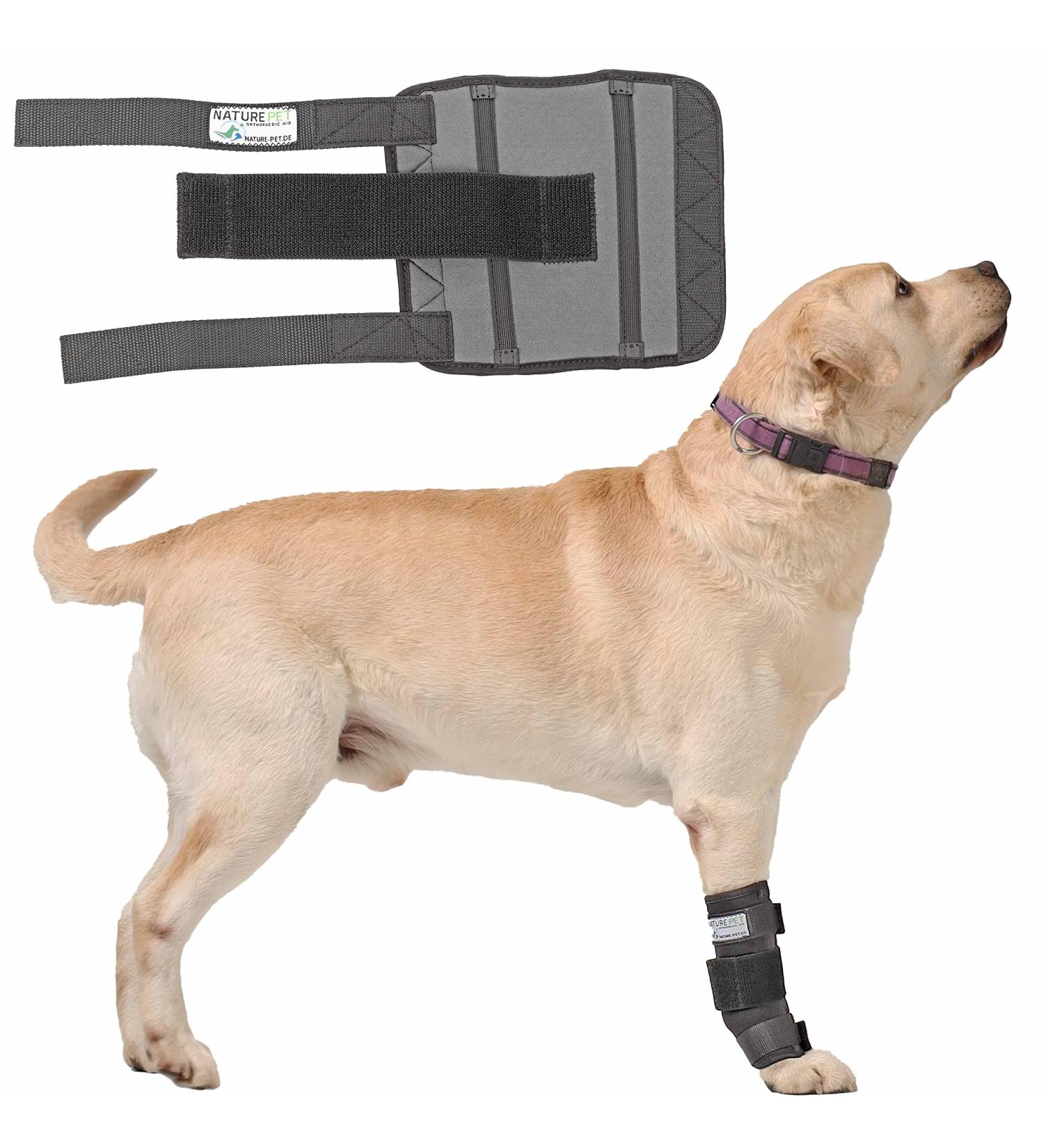 NATURE PET Dog Carpal Splint/Dog Carpal Joint Protection Splint/Dog Support Brace Carpolock Medium Grey - XL - Buy Online on GoSupps.com