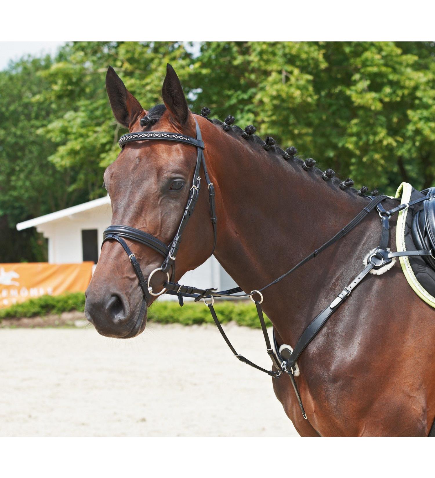 Breastplate SOLIBEL black fitting: stainless steel 1 piece (1 pack)