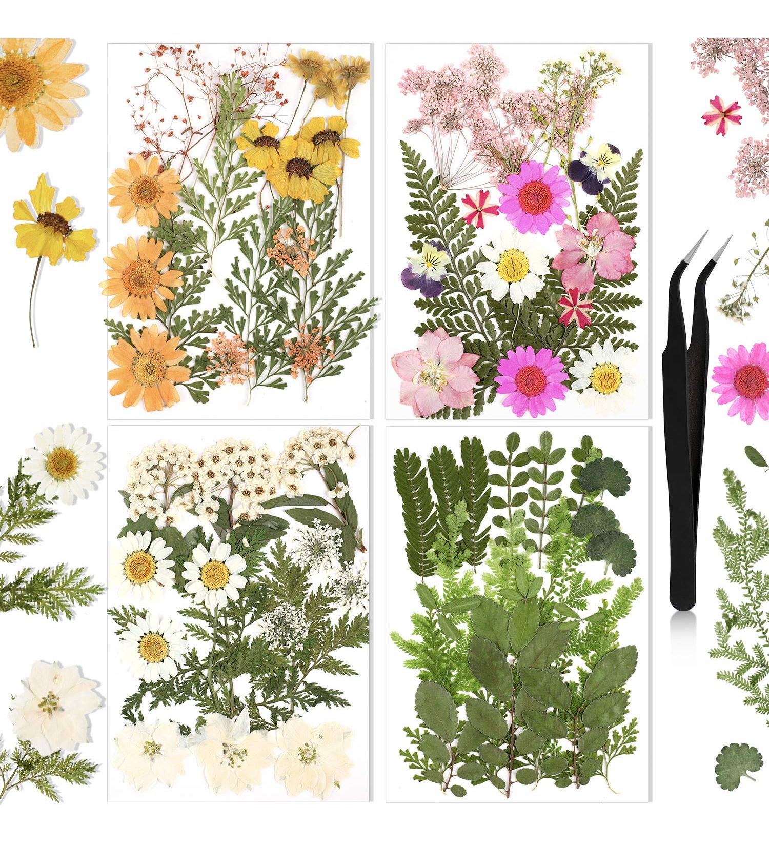 Nuanchu Pressed Flowers Resin Mold Real Daisy Dried Flowers with Tweezers - DIY Candle, Jewelry & Crafts - Fresh Style (Multi Color) - Buy Online on GoSupps.com