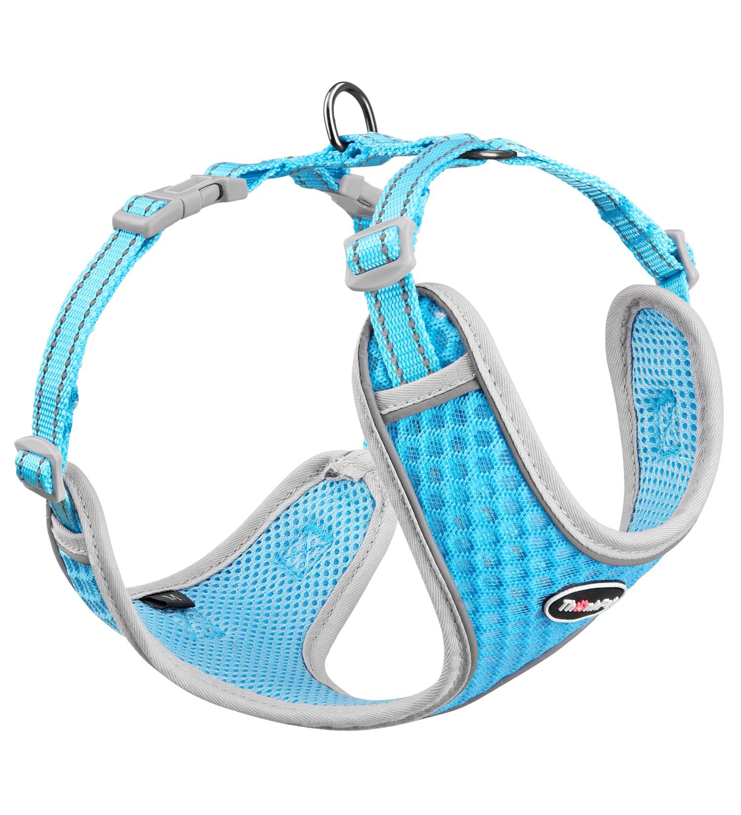 Thinkpet No-Pull Dog Harness Leash Set - Breathable Padded Reflective Safety Harness for Small Medium Large Dogs - Adjustable Running Harness (1 Pack) - Blue - Buy Online on GoSupps.com