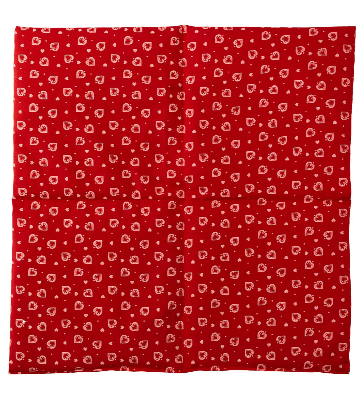 Cherry Stone Pillow 40x40cm | 4-Chamber Heat Cushion | Large Hearts Red | Grain Pillow for Comfort & Wellness - Buy Online on GoSupps.com