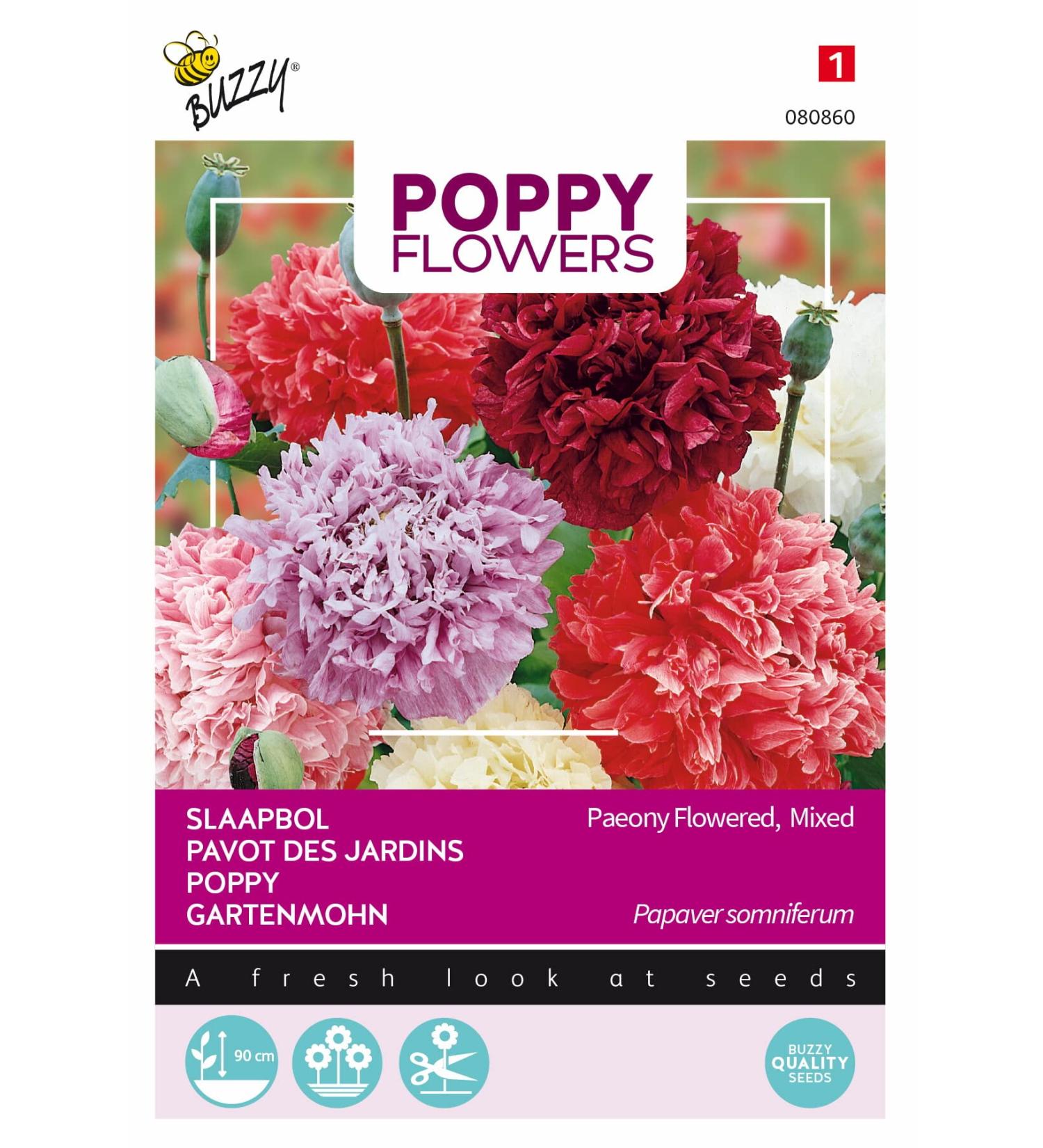 Buy Buzzy Poppy Flowers - Poppy Paeoniflorum Mixed for International Shipping | Premium Seeds for a Colorful Garden - Buy Online on GoSupps.com