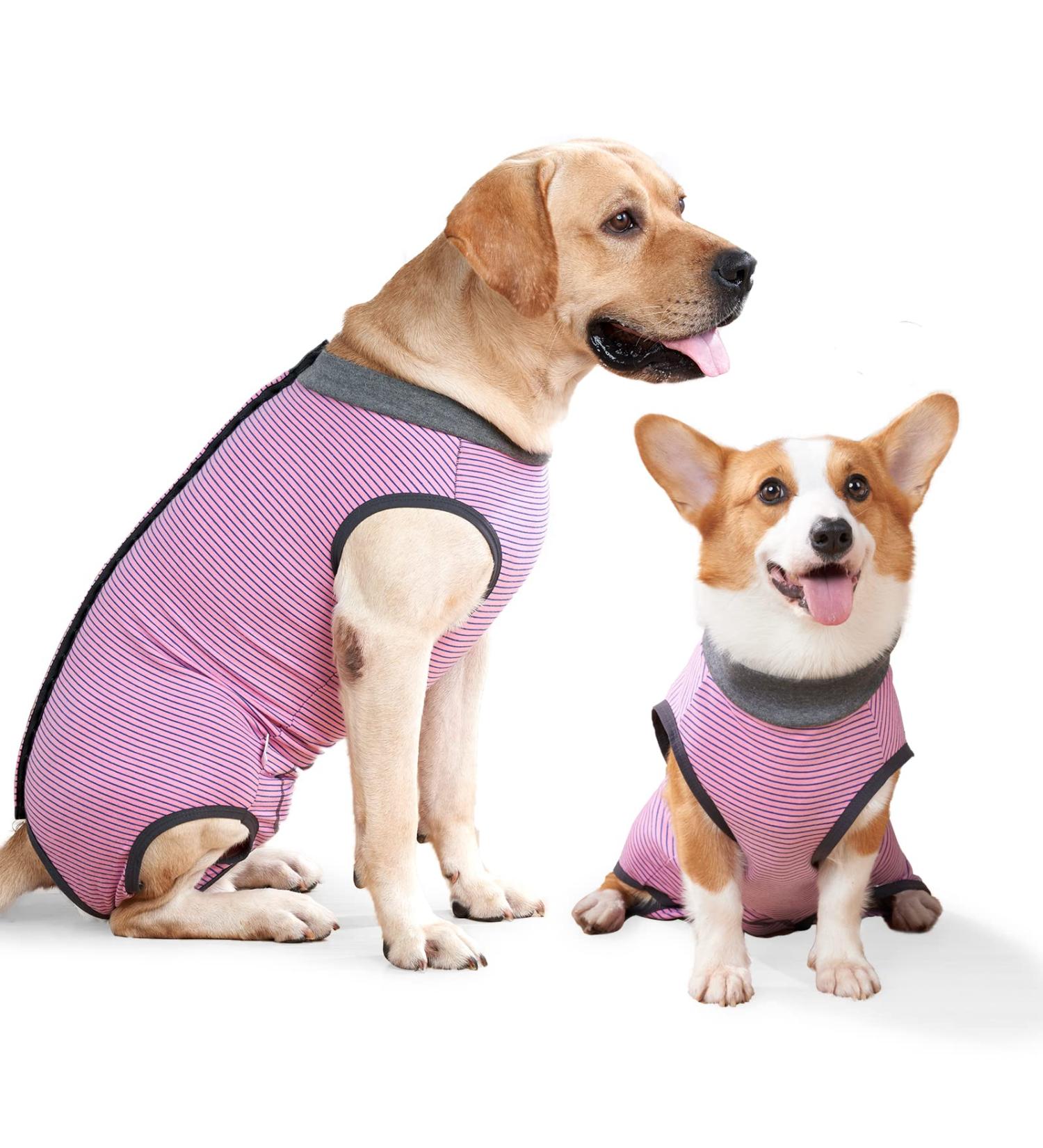 Shop Lianzimau Dog Body for Post-Op Females & Males | Surgical Medical Pet Shirt - Protective Clothing (S Pink) - International Shipping Available - Buy Online on GoSupps.com