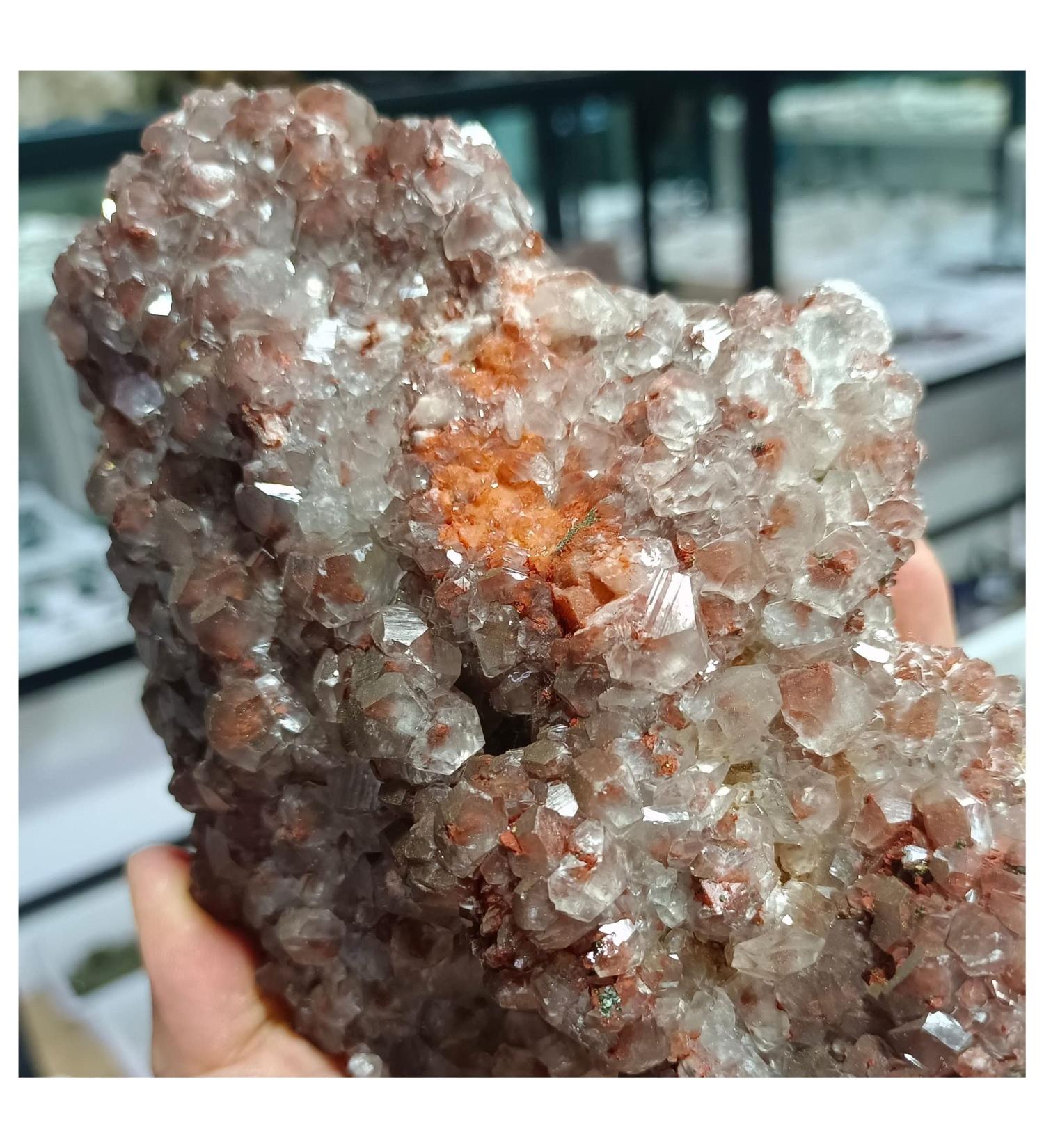Crystal Cluster Natural Mushroom Calcite Quartz Crystal Specimen Ment Home Degaussing Decoration Gem Gift ningxiao (Size : 800-900g) - Buy Online on GoSupps.com