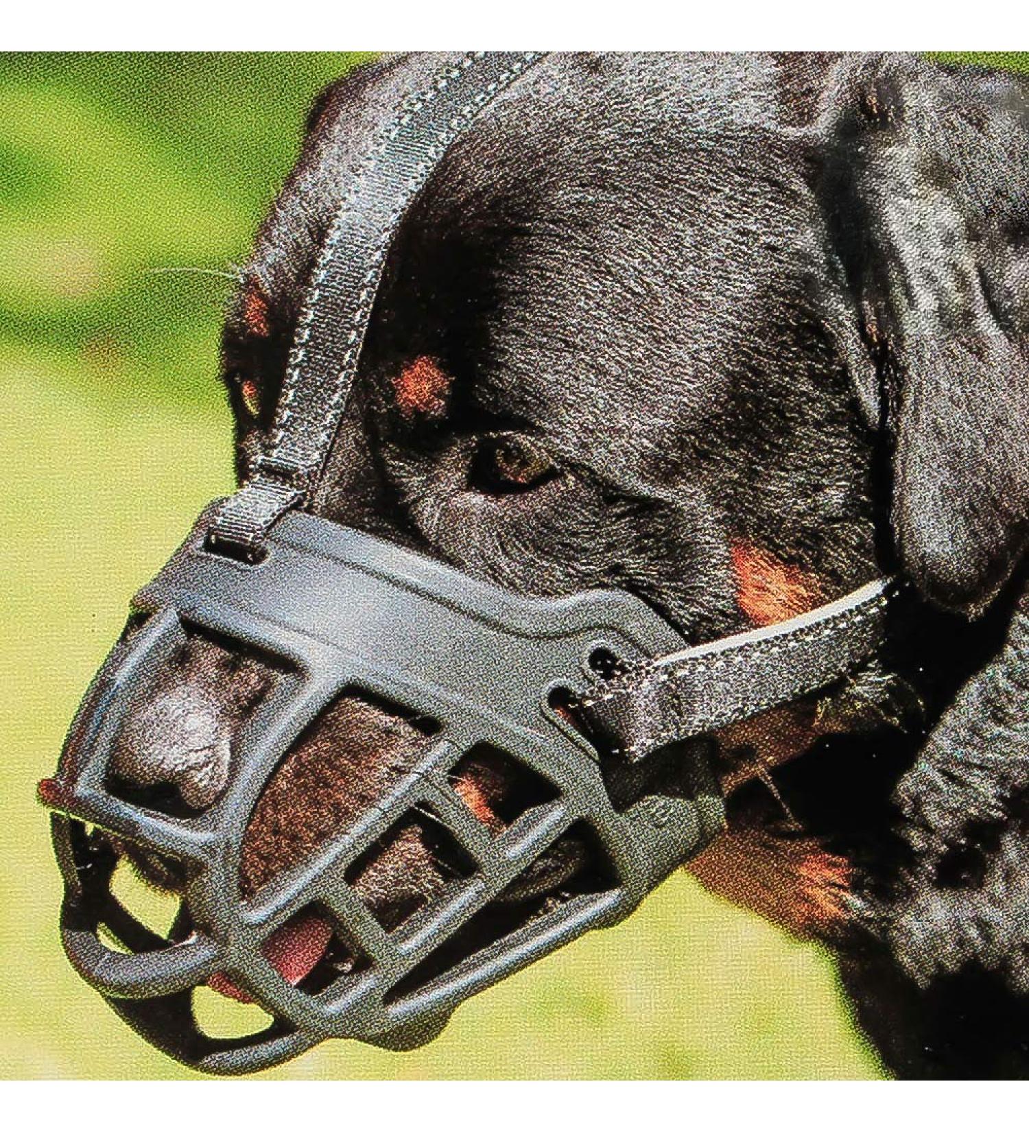 Soft Silicone Dog Muzzle - Adjustable Basket for Chewing Barking & Drinking | Sizes for Snouts 19.1-24.1 cm & 7.5-9.5 cm - Black - Buy Online on GoSupps.com