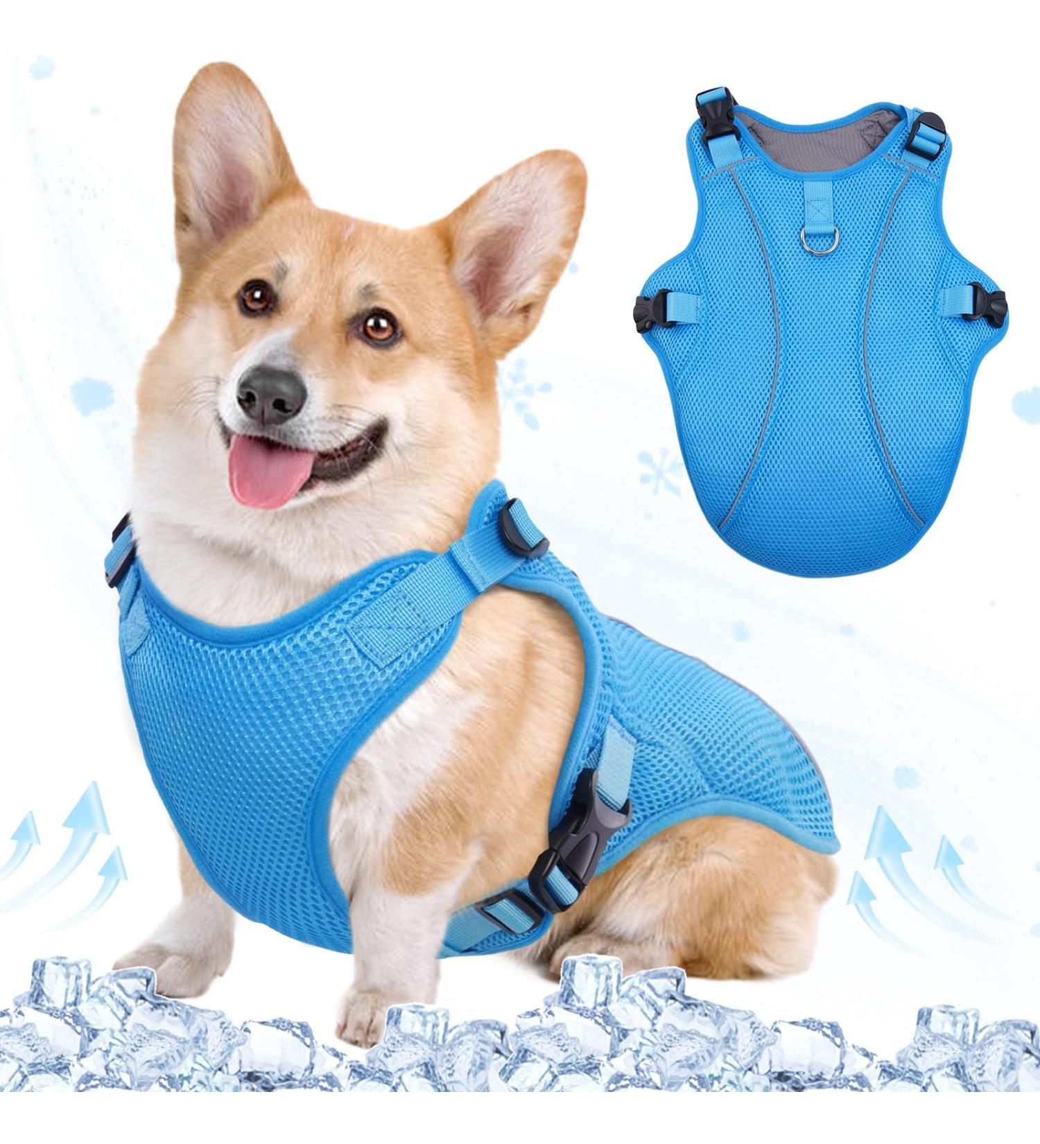 Kuoser Cool Vest for Dogs | Cooling Jacket & Coat for Outdoor Activities | Blue Size S - Keep Your Dog Comfortable! - Buy Online on GoSupps.com