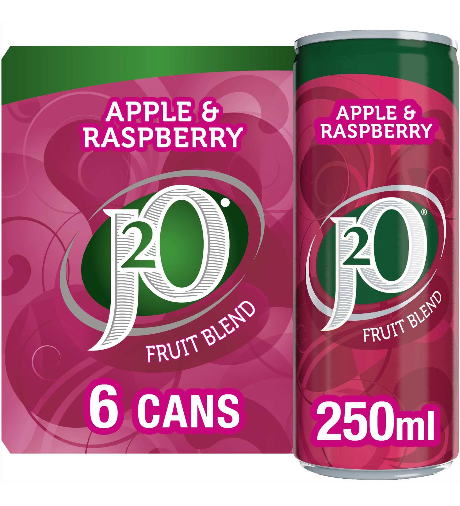 J2O Fruit Blend Juice Drink - Apple and Raspberry 6 x 250ml Single - Buy Online on GoSupps.com