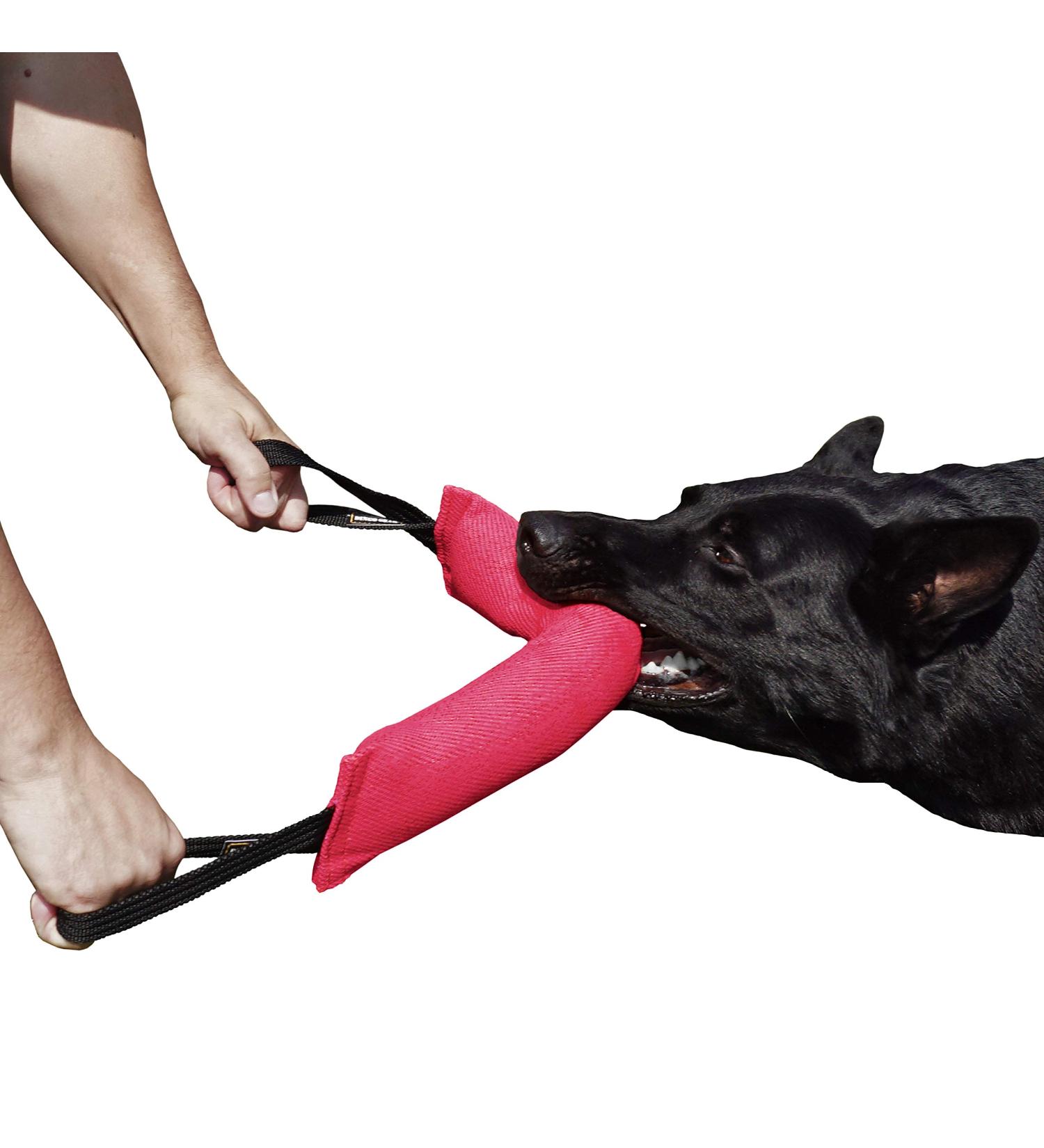 Dingo Gear Cotton Nylon Bite Sausage for Dog Training | IGP IPO Obedience & Protection | 45x8 cm | Pink with 2 Handles - High-Performance Toy - Buy Online on GoSupps.com