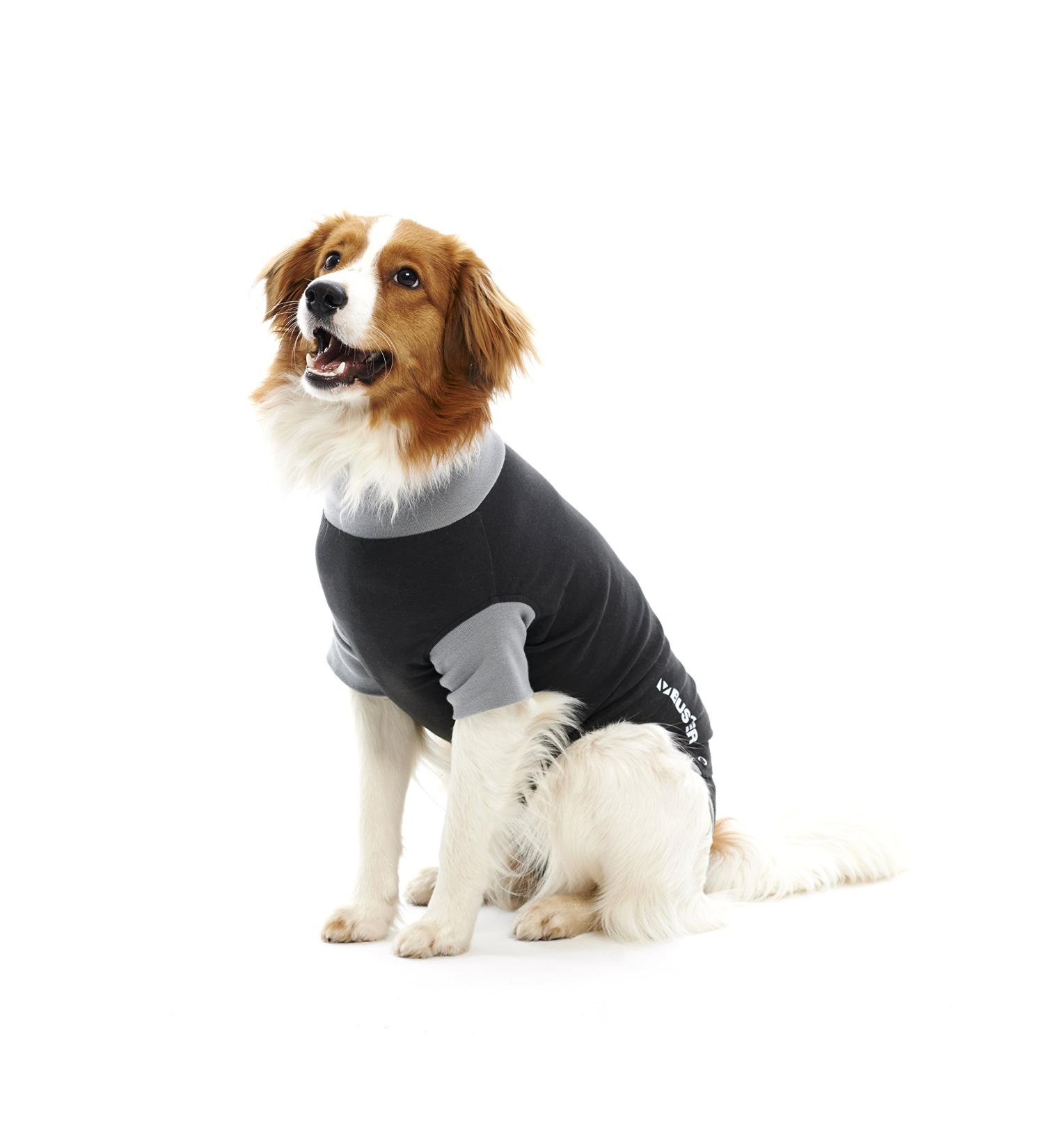 Buster Classic Body Suit for Dogs XXX-Large Black/Grey - Buy Online on GoSupps.com