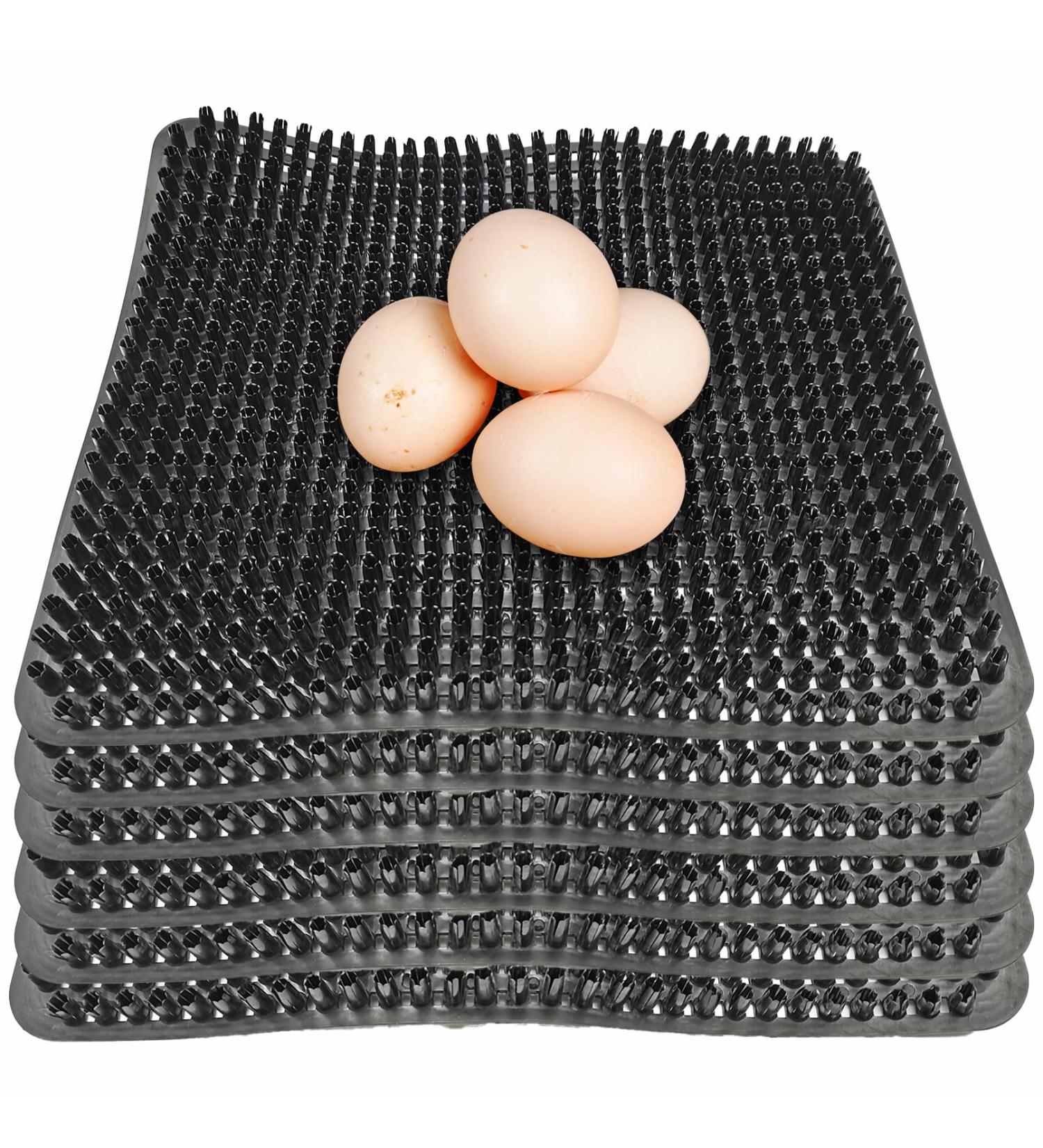 Hamiledyi Chicken Nesting Pads  Hen Nest Mats Washable  Chicken Nesting Box Plastic Liners  Reusable Egg Laying Mats for Chicken Coop Poultry Nest Boxes Ducks Nesting Pads 6PCS - Buy Online on GoSupps.com