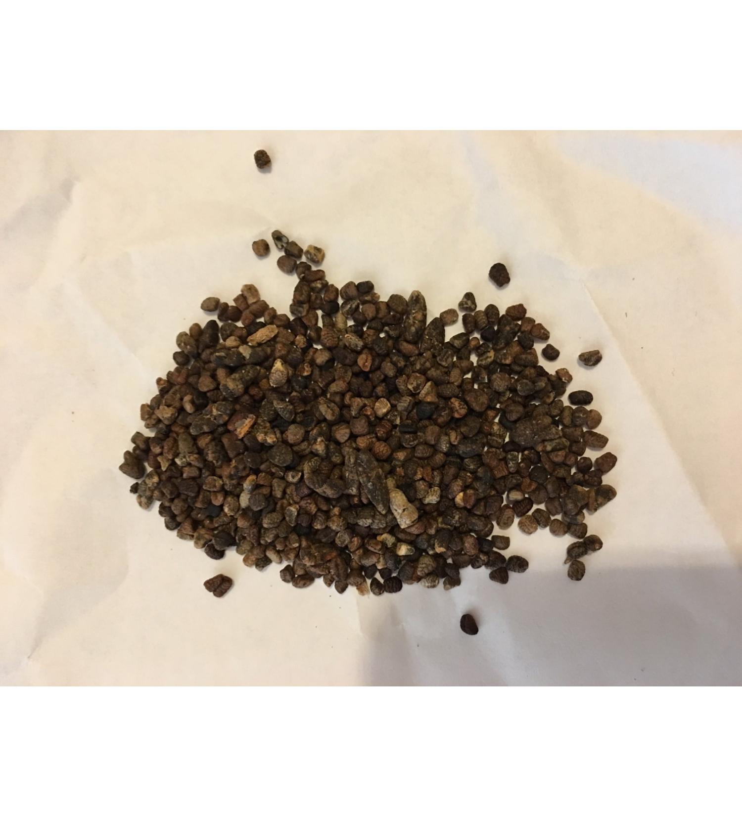 The Spiceworks The Spiceworks Hereford Herbs & Spices Dried Cardamom & Cardamon Seeds 100g