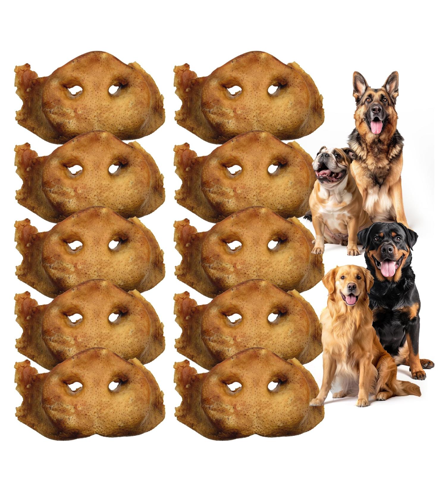 Premium Feeders Smoked Pig Snout for Dogs 10 Pig Snouts Made in Canada - Natural Loyalty Dog Treats for Large Dogs - Healthy Dog Chew - High Protein Treat - Strong Bones Shiny Fur Healthy Skin - Buy Online on GoSupps.com