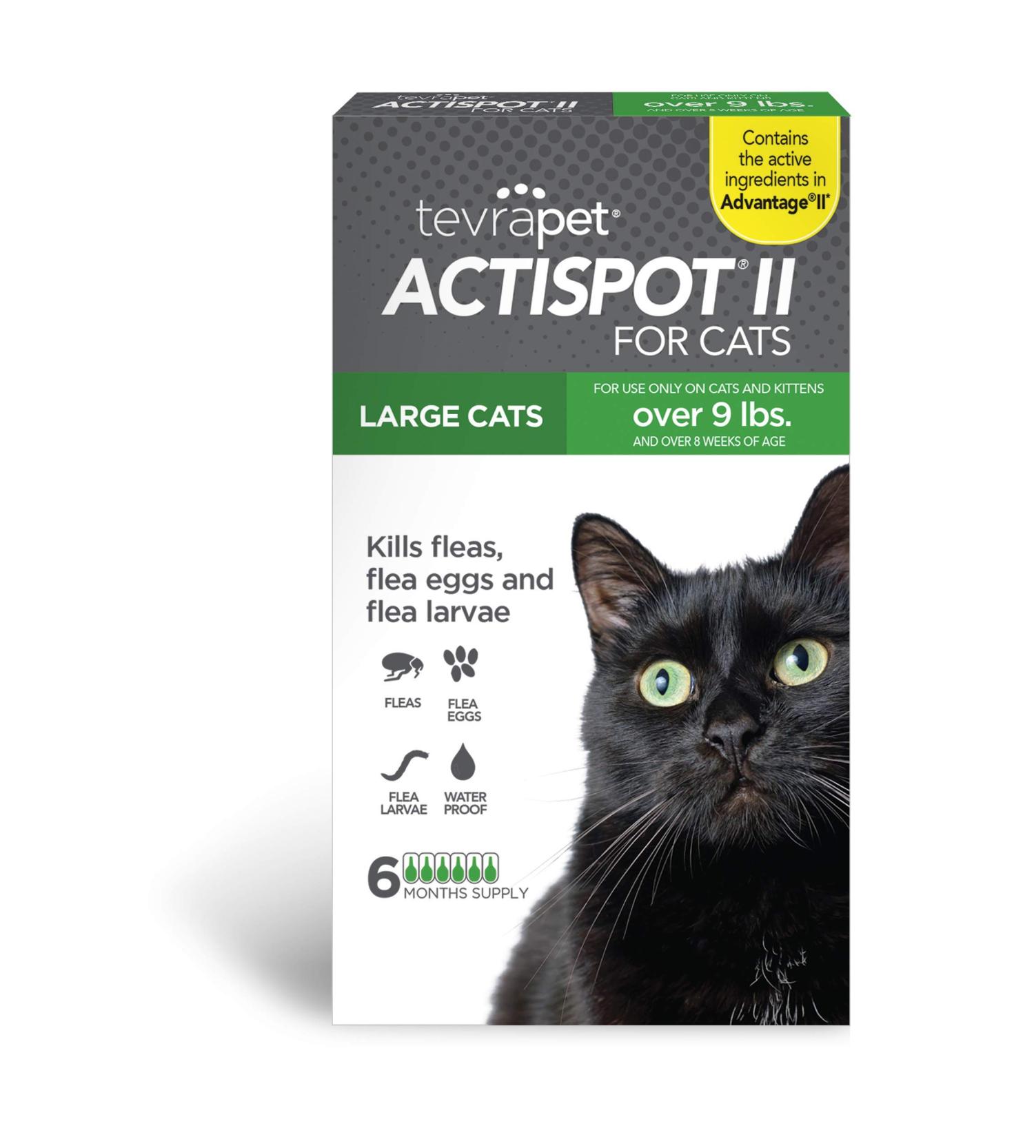 TevraPet Actispot II Flea Treatment for Cats 6 Doses - Large Cats 9+ lbs | Effective Prevention & Control - Buy Online on GoSupps.com