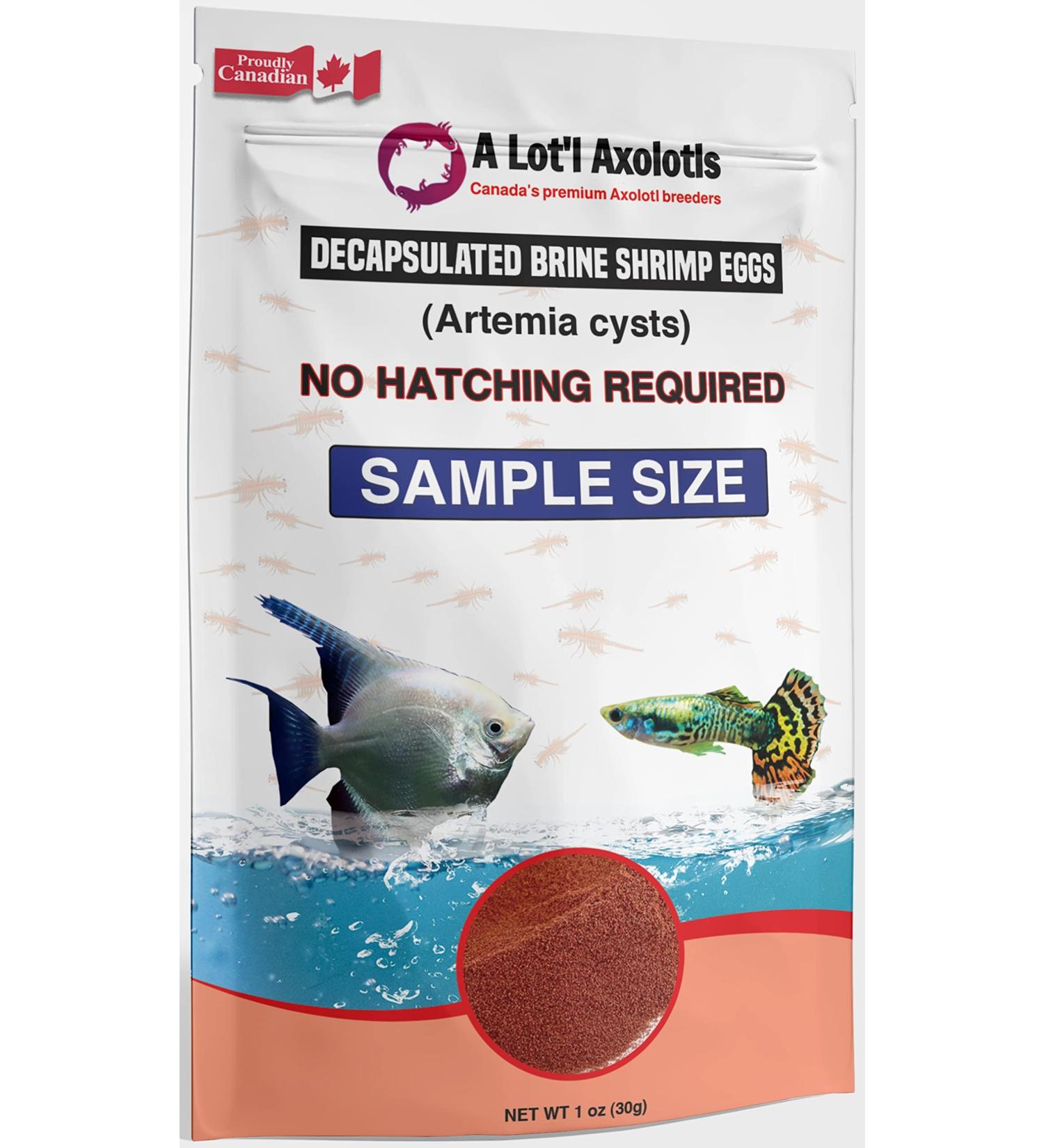A Lot'l Axolotls - Decapsulated Brine Shrimp Eggs Non-Hatching - BBS Artemia Cyst - Fish/Fry Food - Mini/Sample Size - 30 g / 1 Oz - Buy Online on GoSupps.com