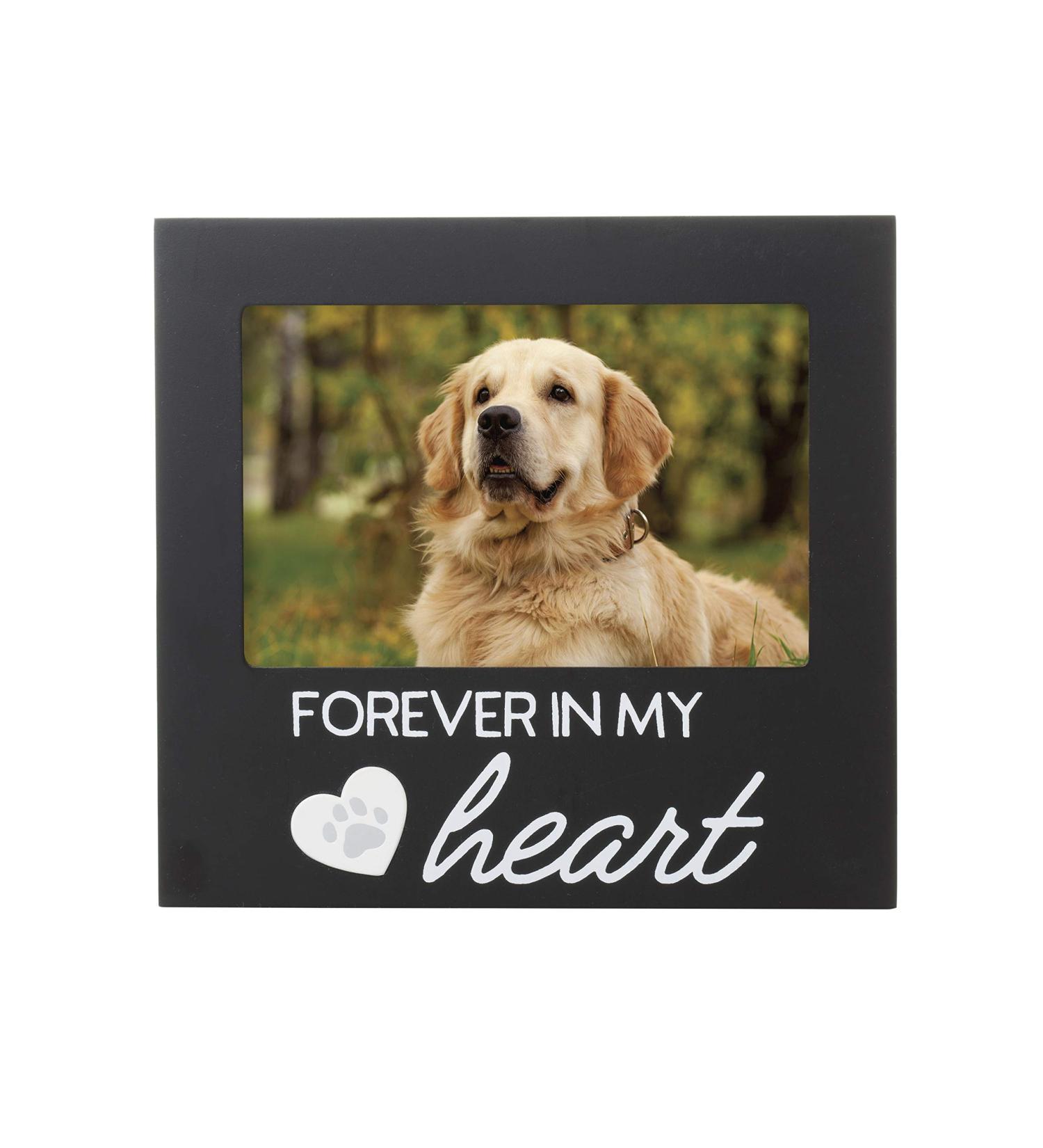 Pet Memorial Frame - Pearhead Forever In My Heart Black Frame - Buy Online on GoSupps.com