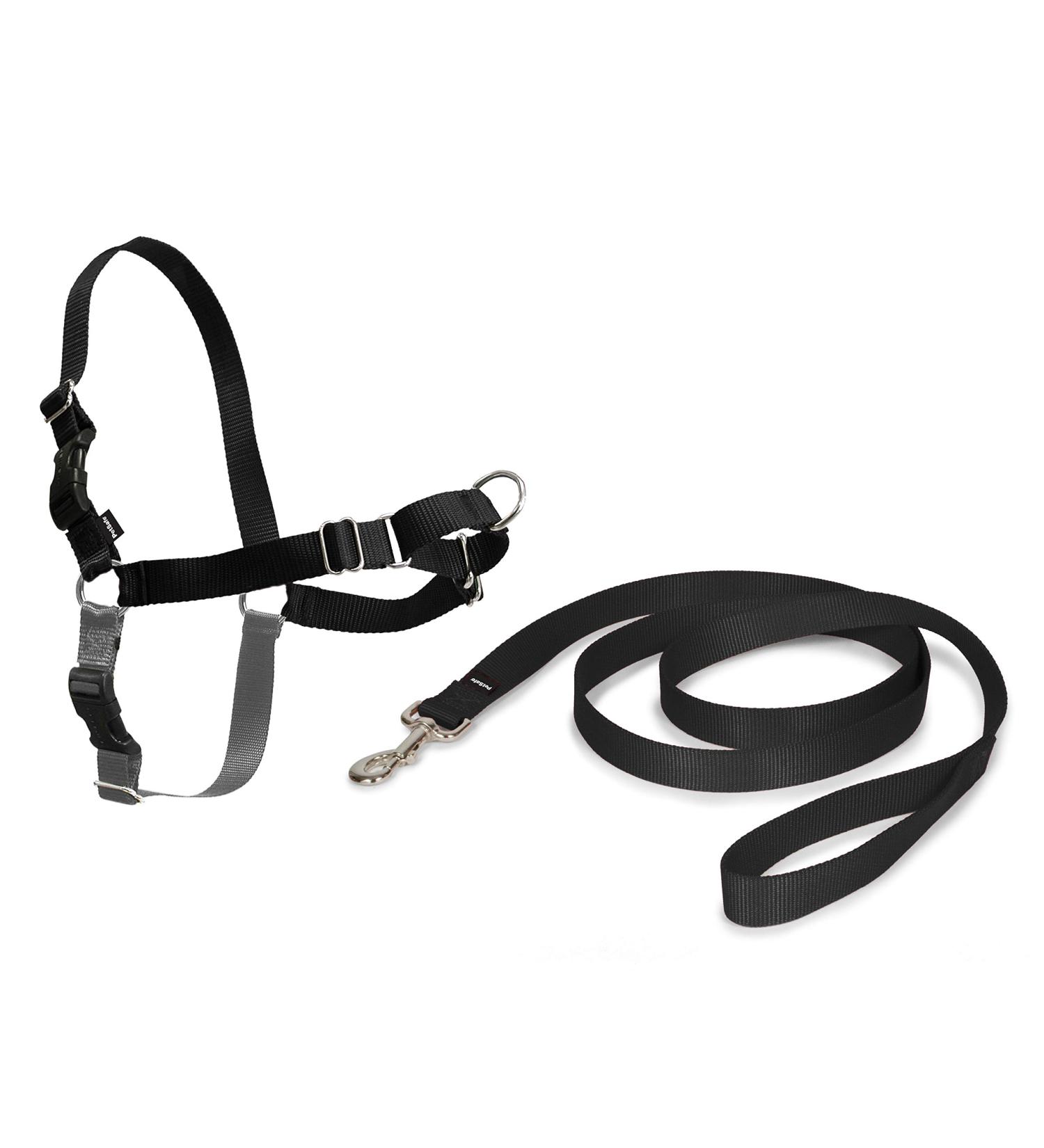 Petsafe Easy Walk dishes train-free walking dishes for dogs adjustable fit incl. 1.8 m leash small-black/beige black small