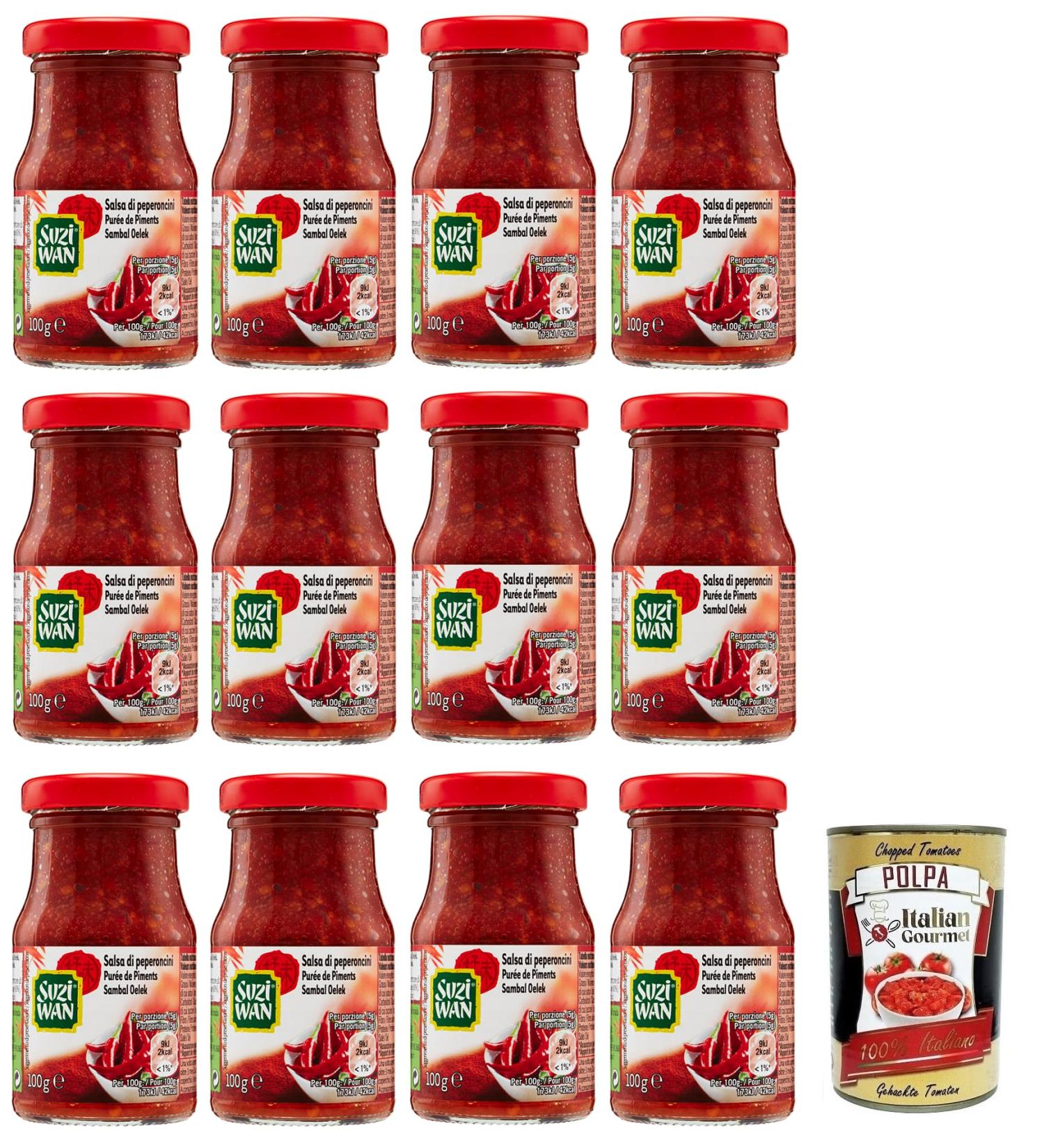  Italian Gourmet E.R. Suzi Wan Salsa di Peperoncini Lot of 12 sauces peppers in glass of 100 g + 400 g - Buy Online on GoSupps.com