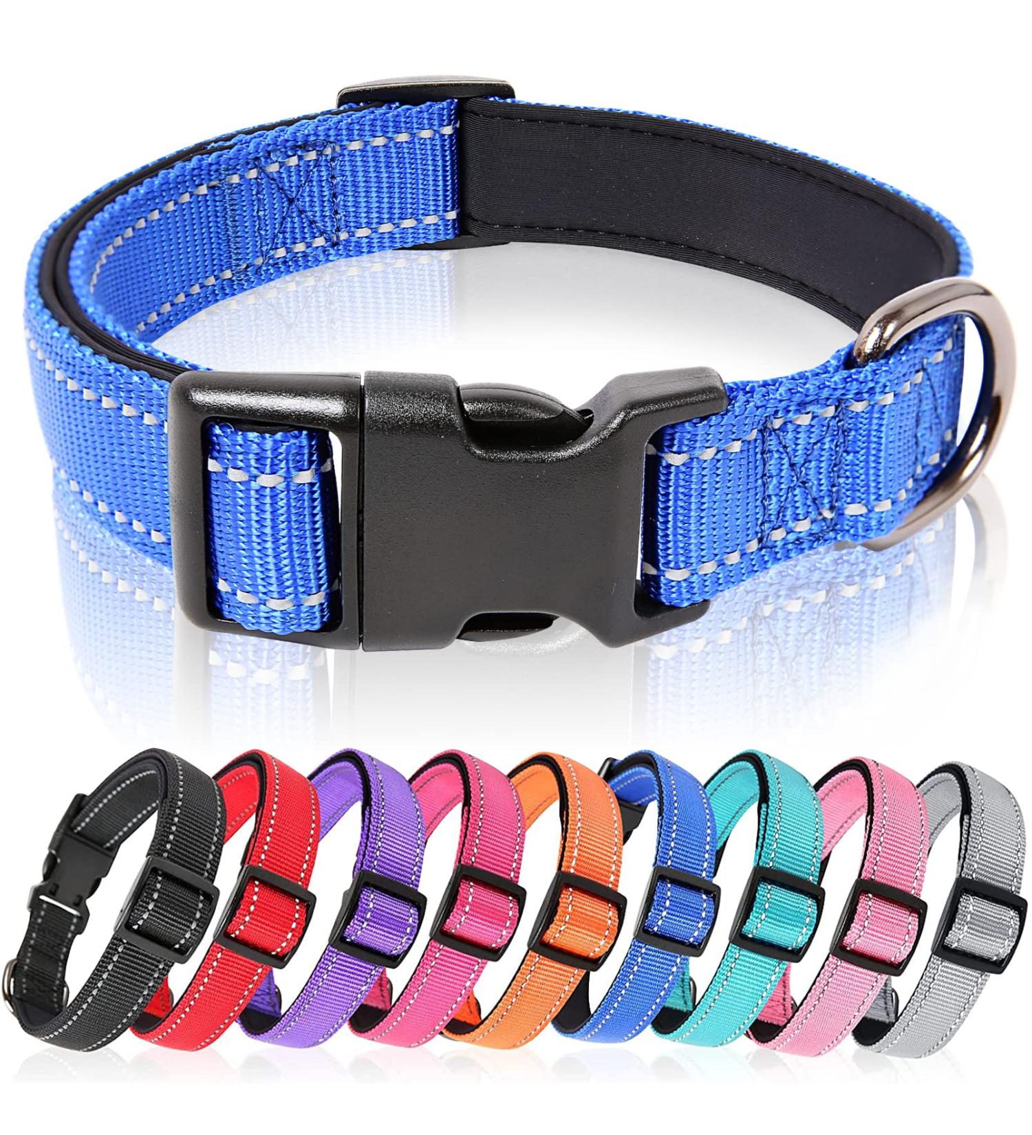 Heele Reflective Dog Collar for Small Dogs - Soft Neoprene Padded Nylon XS 20-30cm Royal Blue - Perfect for Puppies - 1-Pack - Buy Online on GoSupps.com