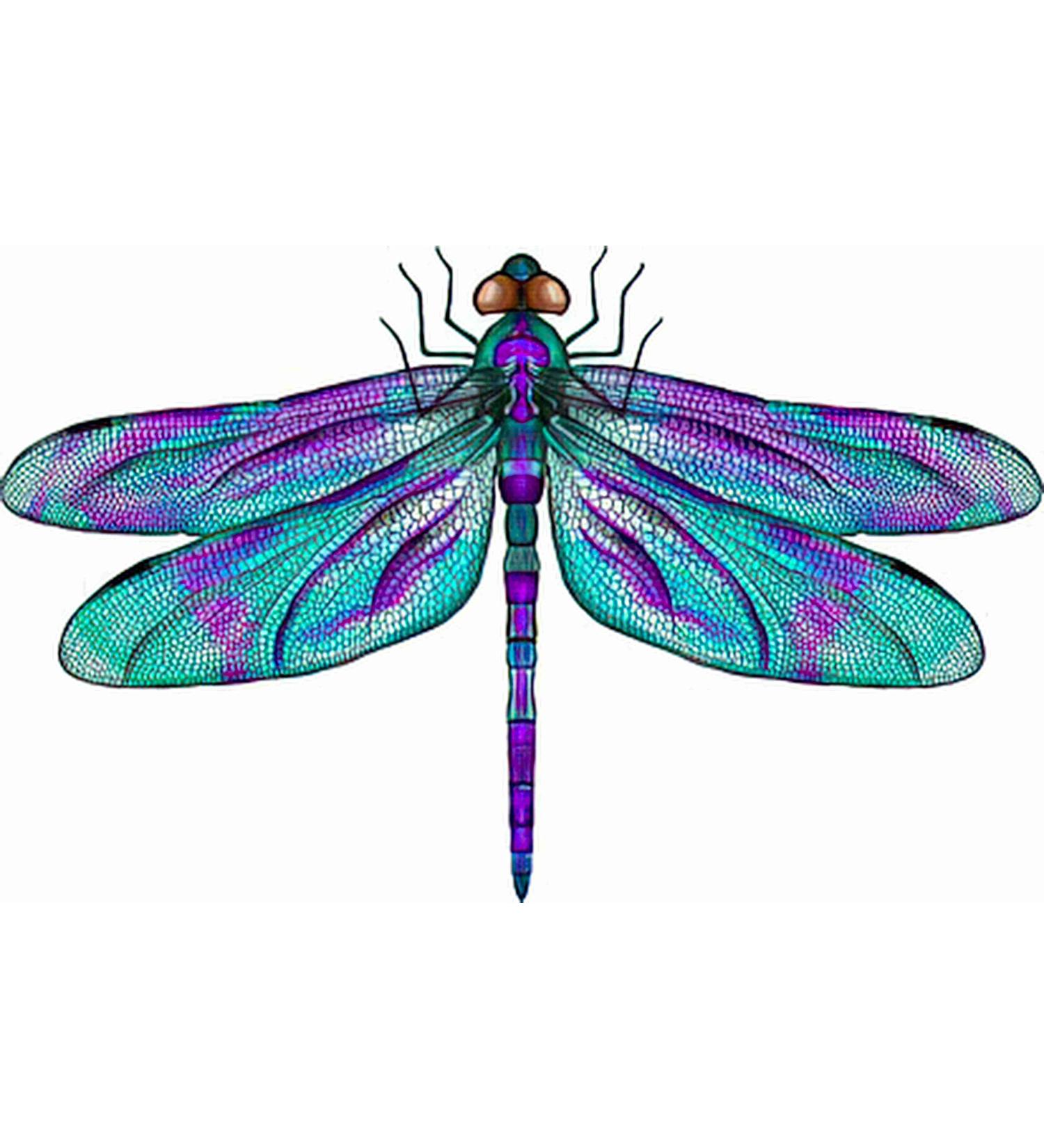 Dopetattoo 6 Sheets Temporary Dragonfly Tattoo | Fake Tattoos for Women Men Adults - Buy Online on GoSupps.com