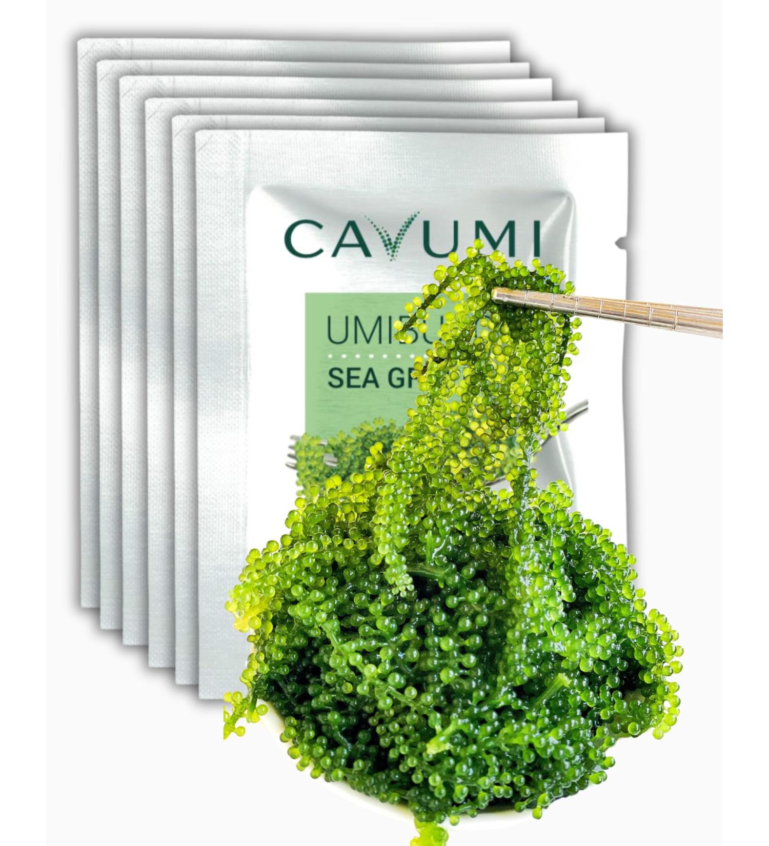 CAVUMI Sea Grapes - Crunchy Seaweed Snack (20g x 3 Pack) | Dried Umibudo Green Caviar | International Shipping Available - Buy Online on GoSupps.com