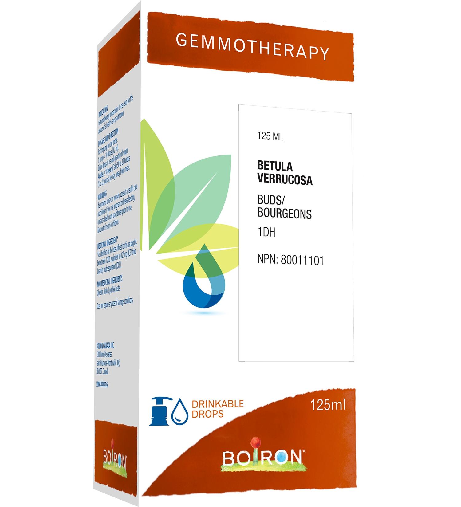 Gemmotherapy betula verrucosa buds (silver birch) 1dh 125ml homeopathic medicine 125 milliliter by Boiron Canada - Buy Online on GoSupps.com