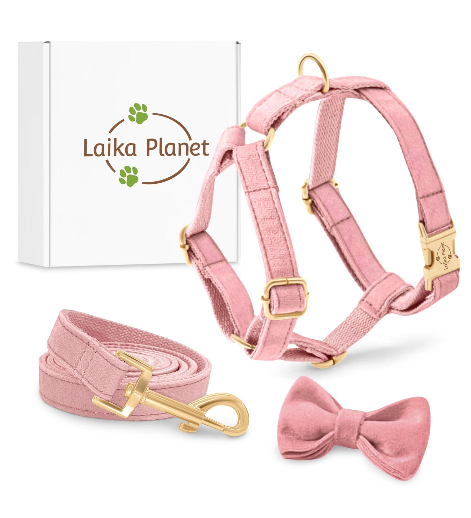 Premium H-Shaped Dog Harness - Velvet & Multi-Position Leash - Small Medium & Large - Stylish Pink (L) - Buy Online on GoSupps.com
